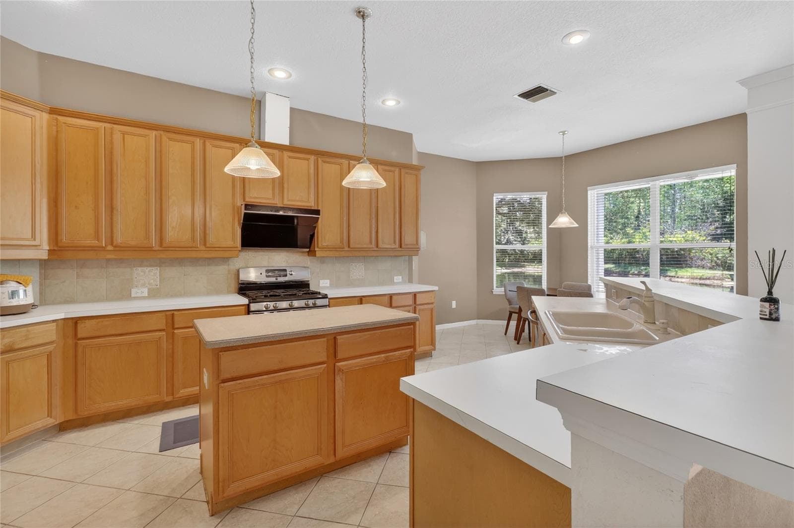 Single Family Residence at 10206 SHADOW BRANCH DR, TAMPA, photo 32 of 88