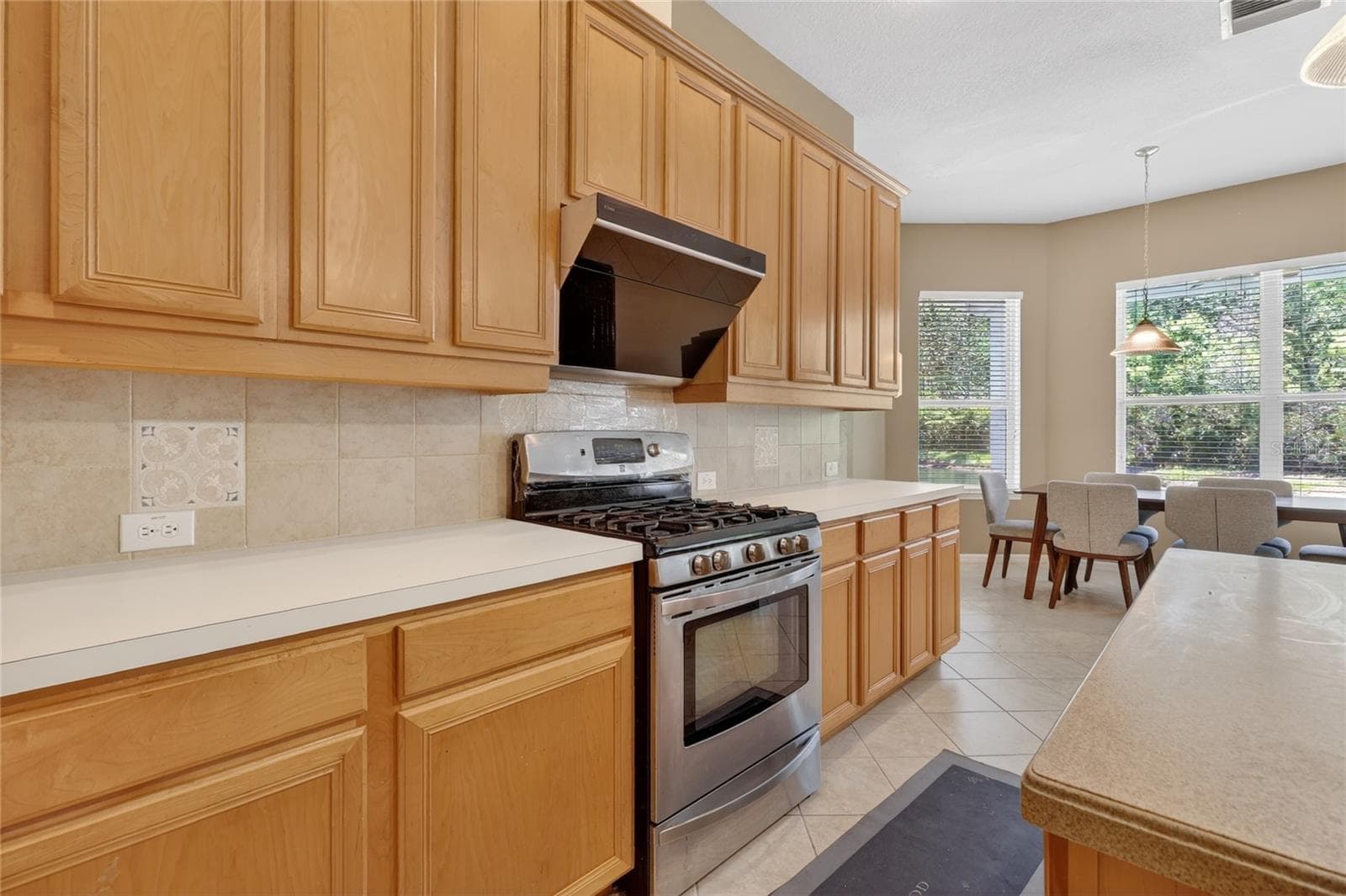 Single Family Residence at 10206 SHADOW BRANCH DR, TAMPA, photo 33 of 88