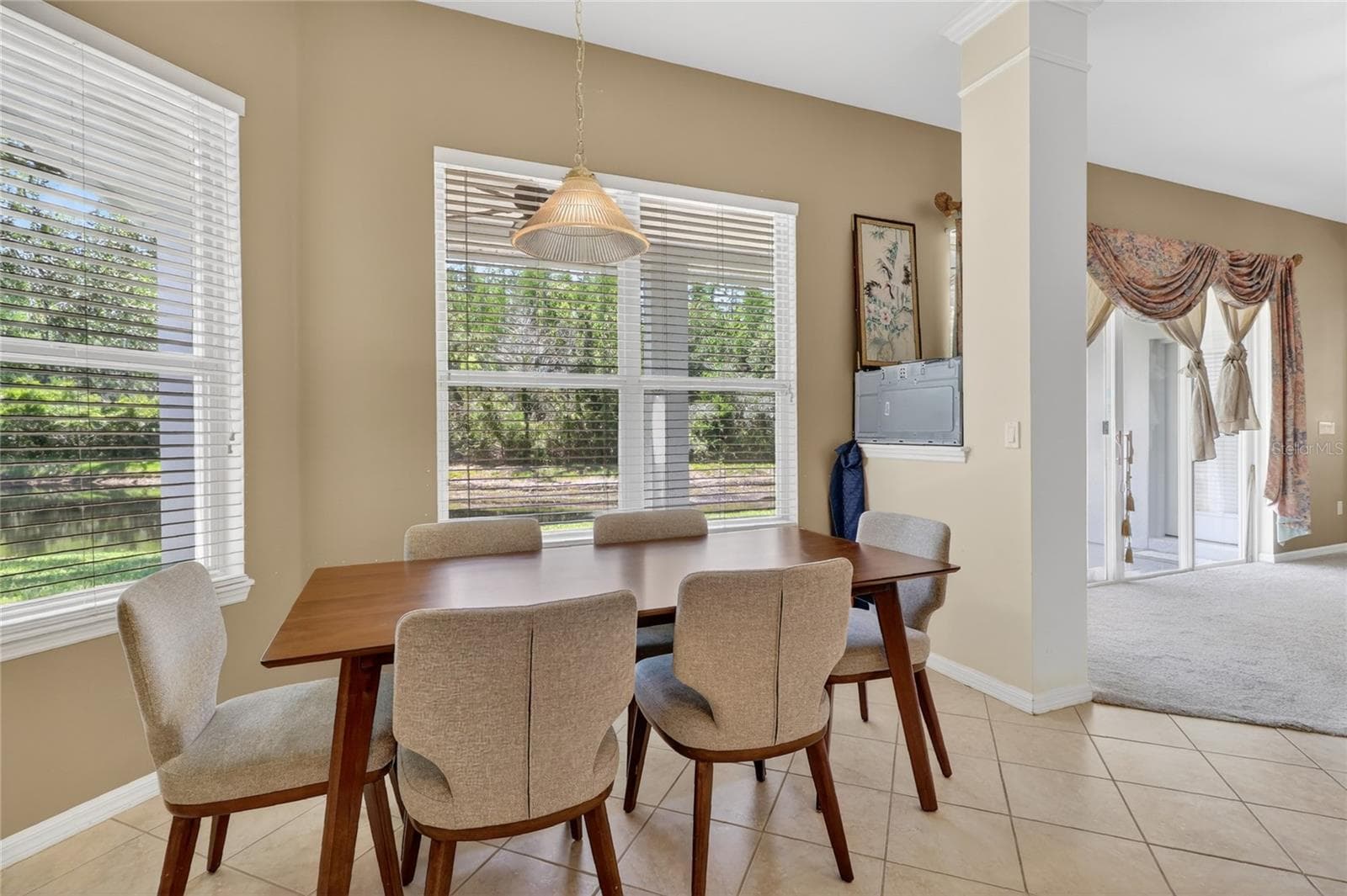 Single Family Residence at 10206 SHADOW BRANCH DR, TAMPA, photo 36 of 88