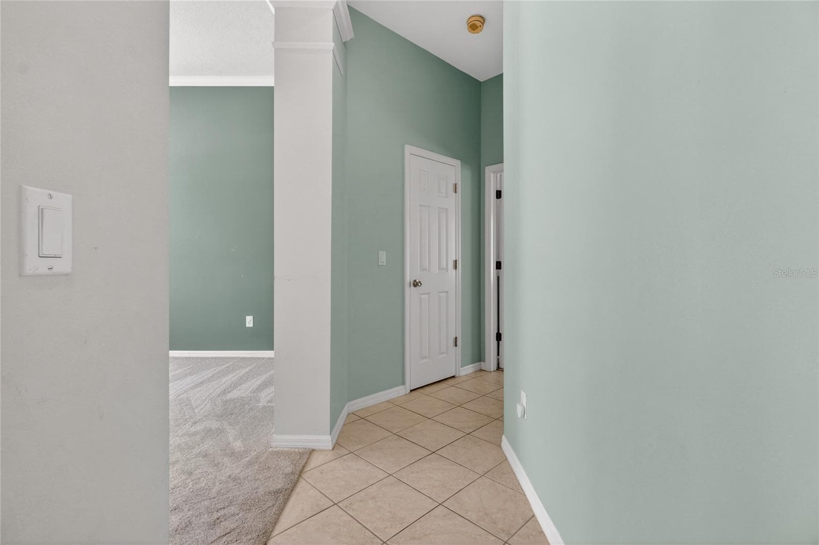 Single Family Residence at 10206 SHADOW BRANCH DR, TAMPA, photo 38 of 88