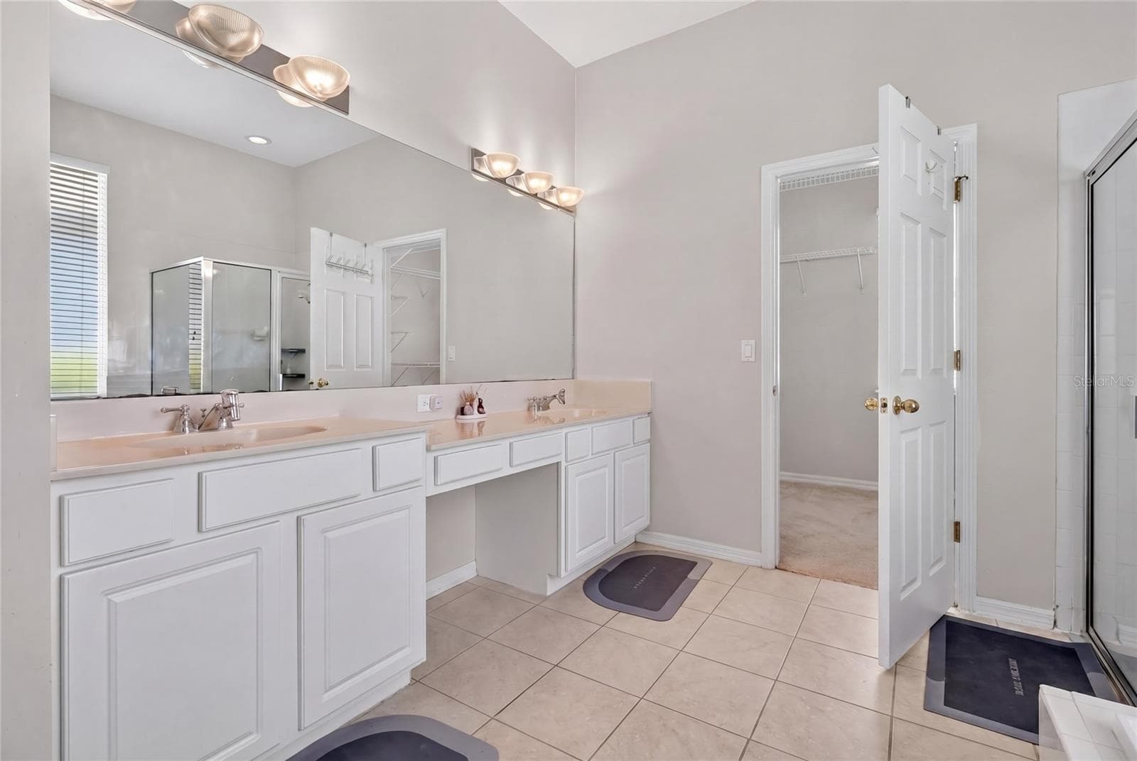 Single Family Residence at 10206 SHADOW BRANCH DR, TAMPA, photo 45 of 88