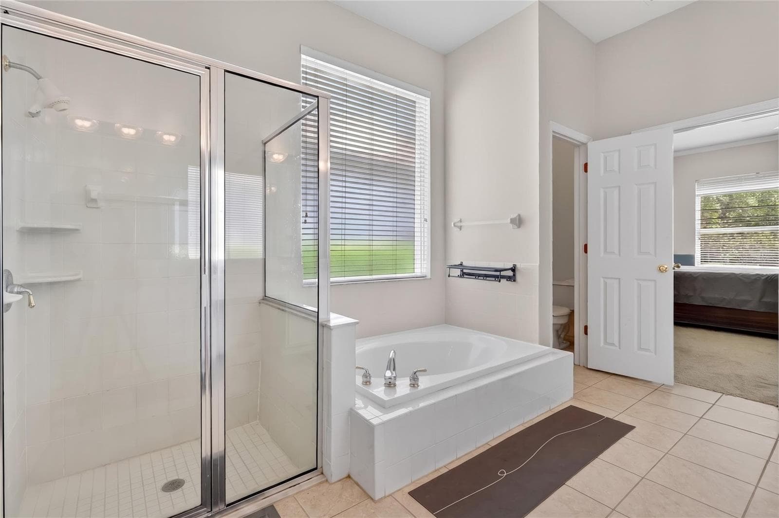 Single Family Residence at 10206 SHADOW BRANCH DR, TAMPA, photo 47 of 88