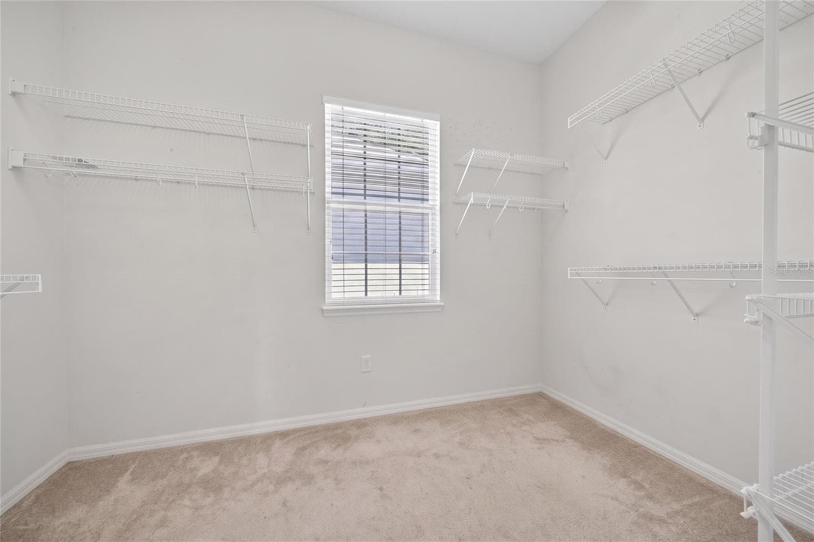 Single Family Residence at 10206 SHADOW BRANCH DR, TAMPA, photo 48 of 88