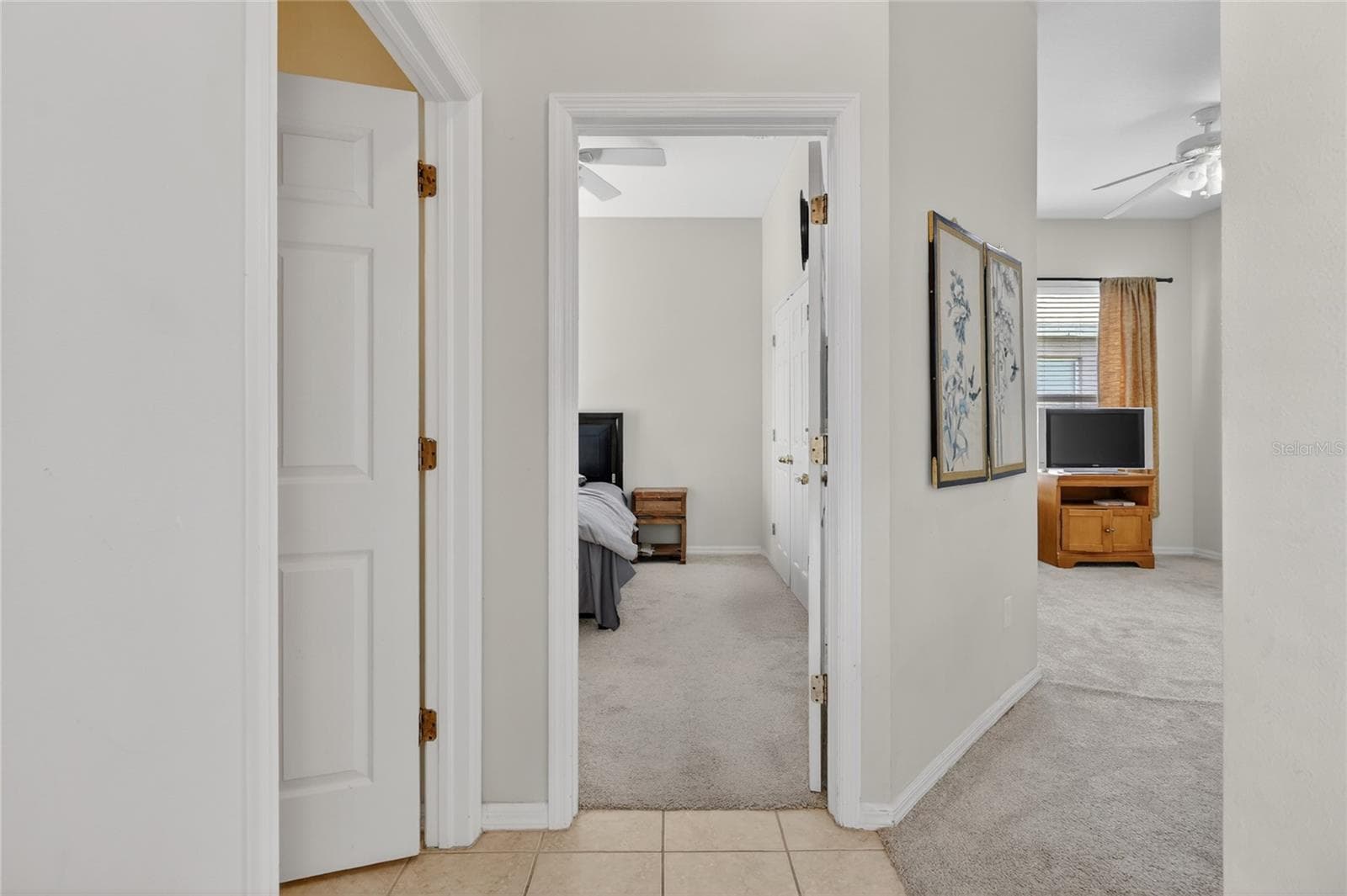 Single Family Residence at 10206 SHADOW BRANCH DR, TAMPA, photo 51 of 88