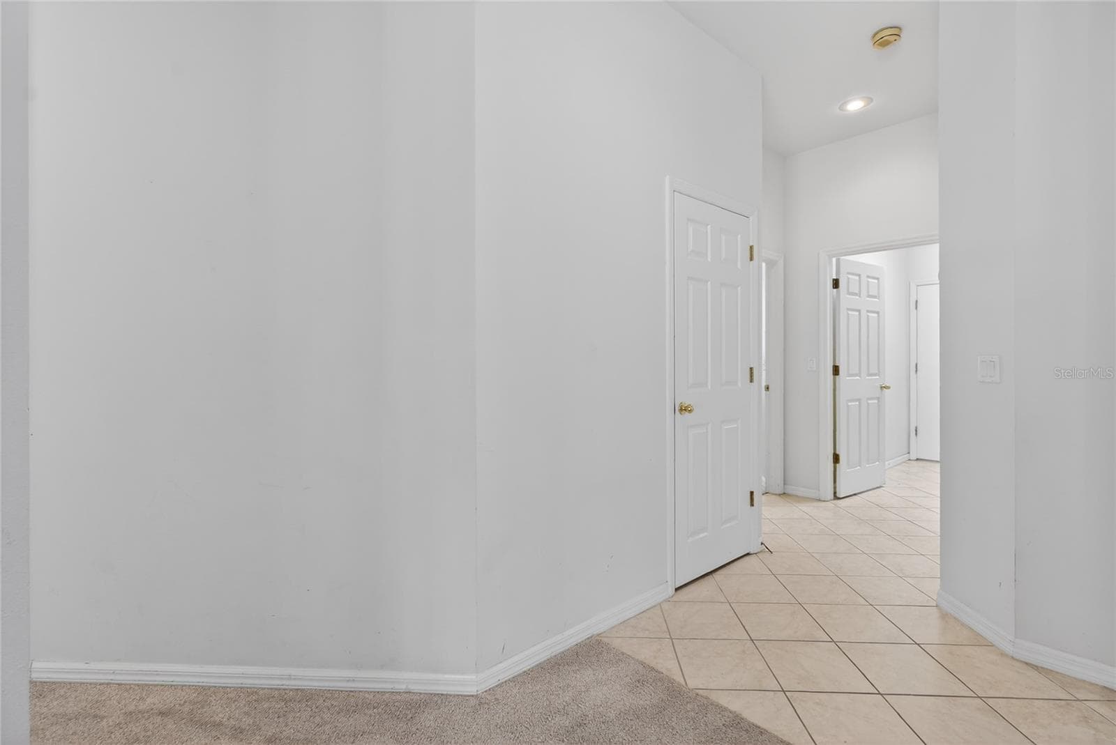 Single Family Residence at 10206 SHADOW BRANCH DR, TAMPA, photo 67 of 88