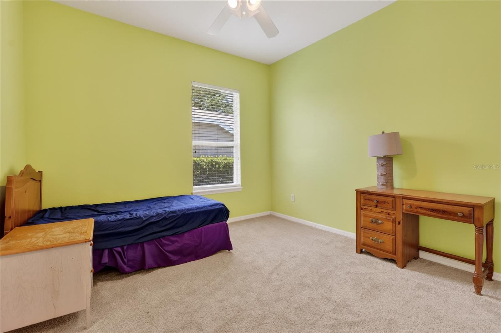 Single Family Residence at 10206 SHADOW BRANCH DR, TAMPA, photo 69 of 88