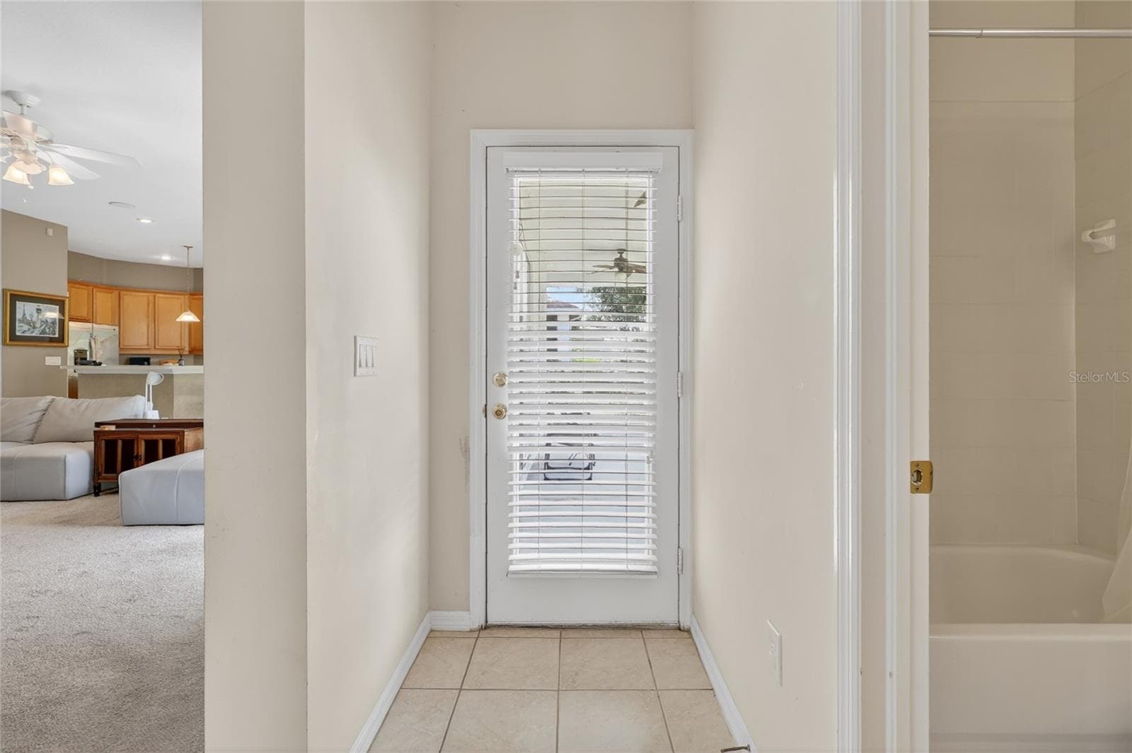 Single Family Residence at 10206 SHADOW BRANCH DR, TAMPA, photo 79 of 88