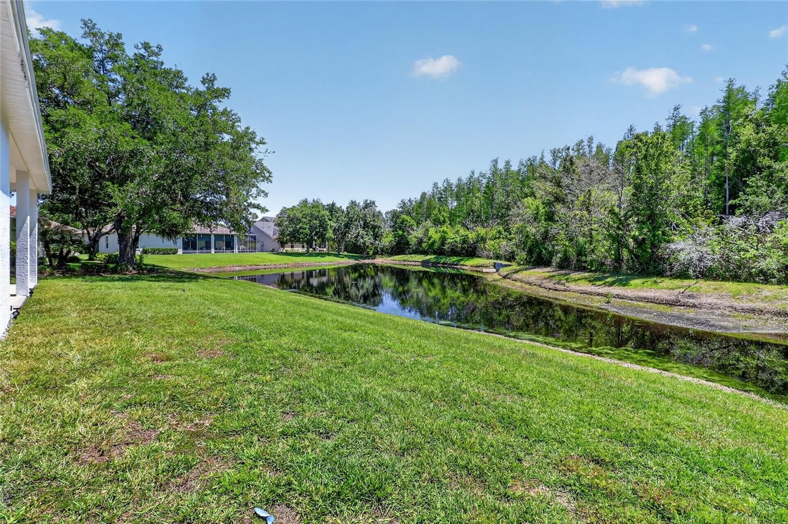 Single Family Residence at 10206 SHADOW BRANCH DR, TAMPA, photo 83 of 88