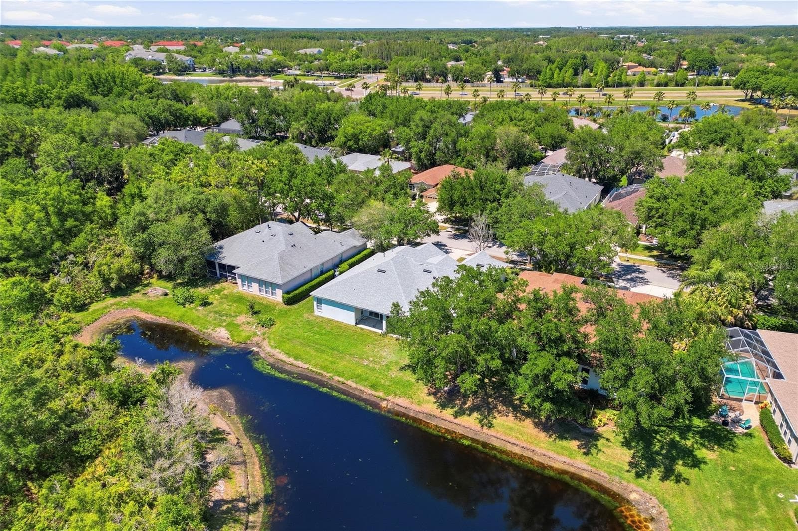 Single Family Residence at 10206 SHADOW BRANCH DR, TAMPA, photo 85 of 88