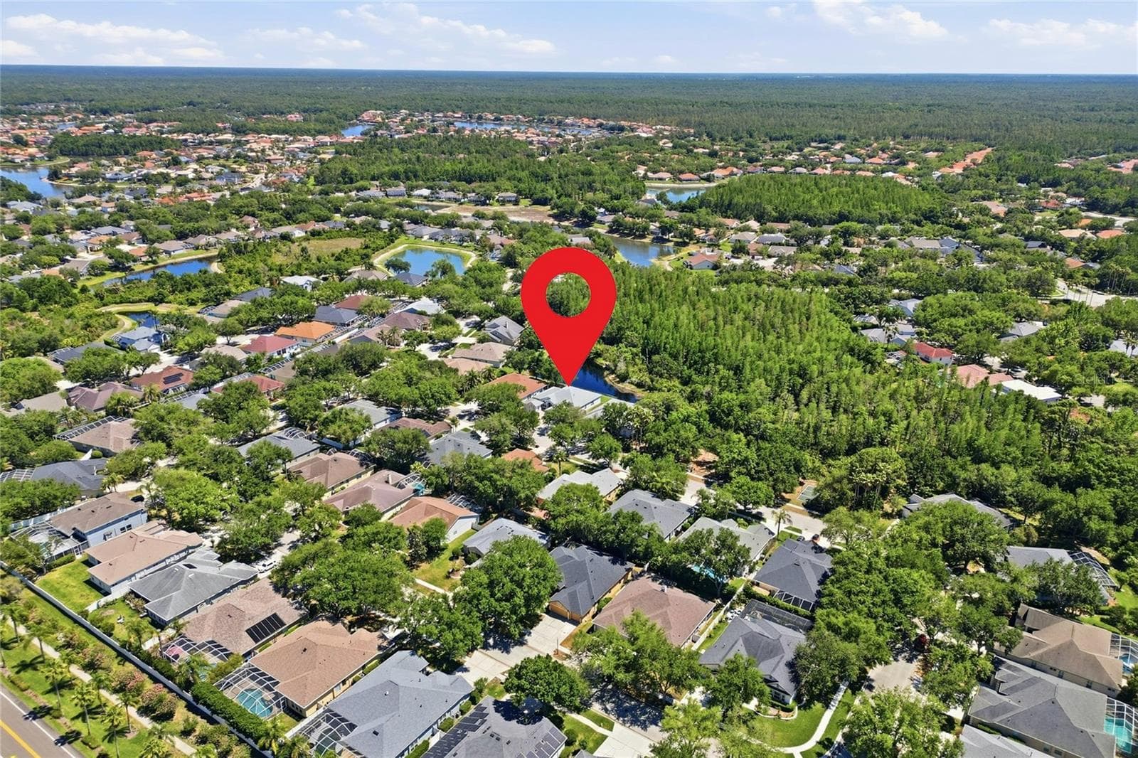 Single Family Residence at 10206 SHADOW BRANCH DR, TAMPA, photo 87 of 88