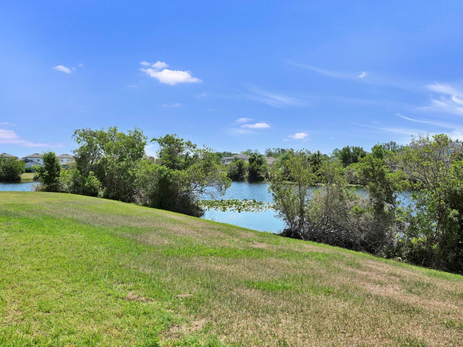 Single Family Residence at 12317 BAY ESTUARY BND, RIVERVIEW, photo 60 of 93