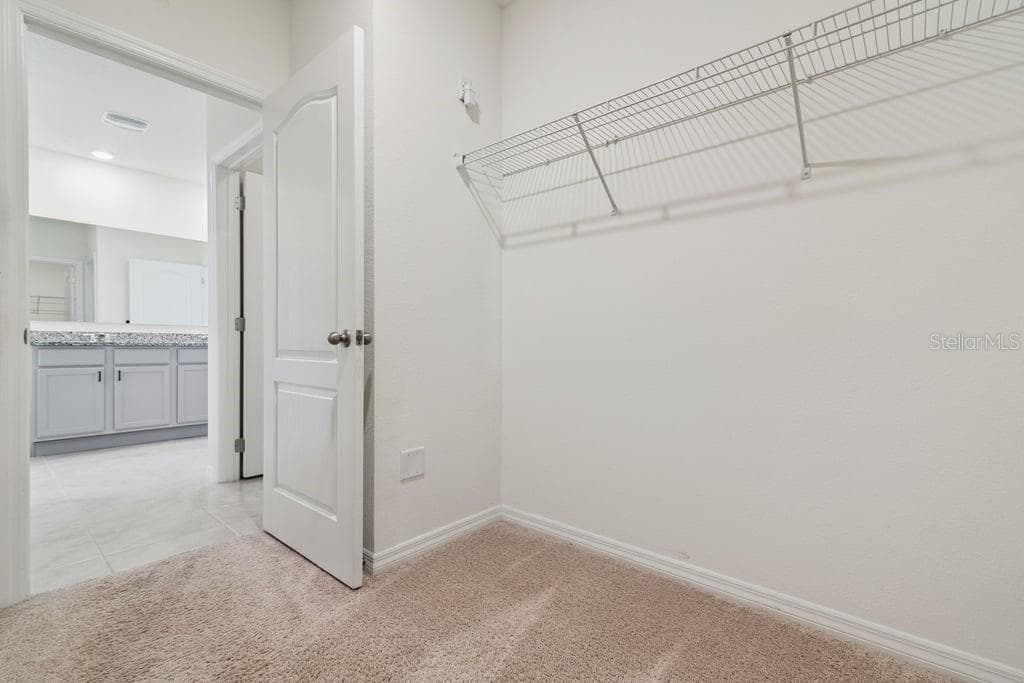 Primary Bathroom walking closet - 5235 MAHOGANY DR, MOUNT DORA