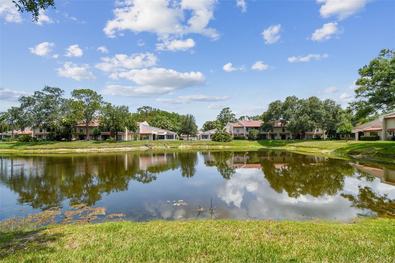Condominium at 3505 TARPON WOODS BLVD #P404, PALM HARBOR, photo 47 of 62