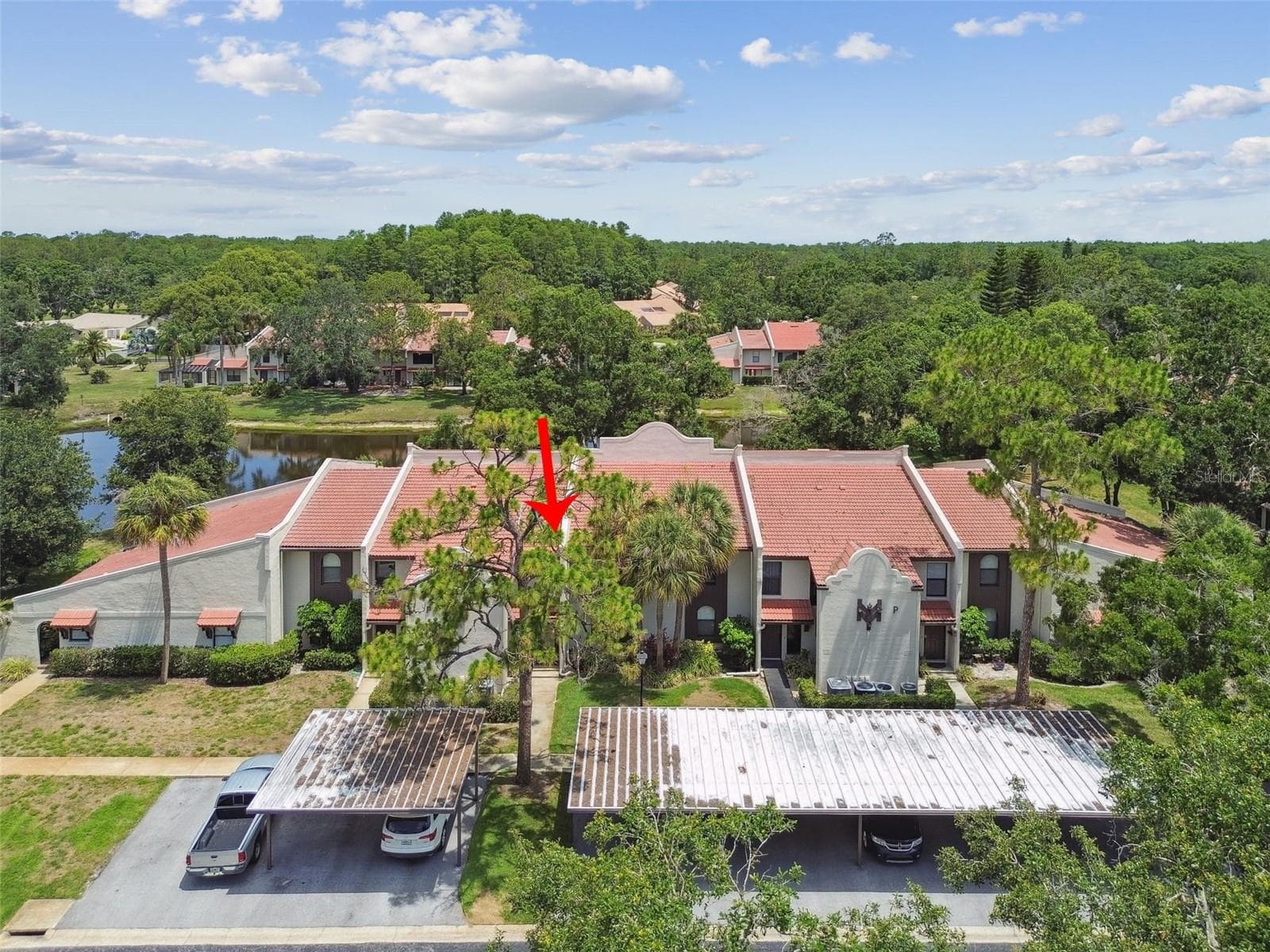 Condominium at 3505 TARPON WOODS BLVD #P404, PALM HARBOR, photo 50 of 62
