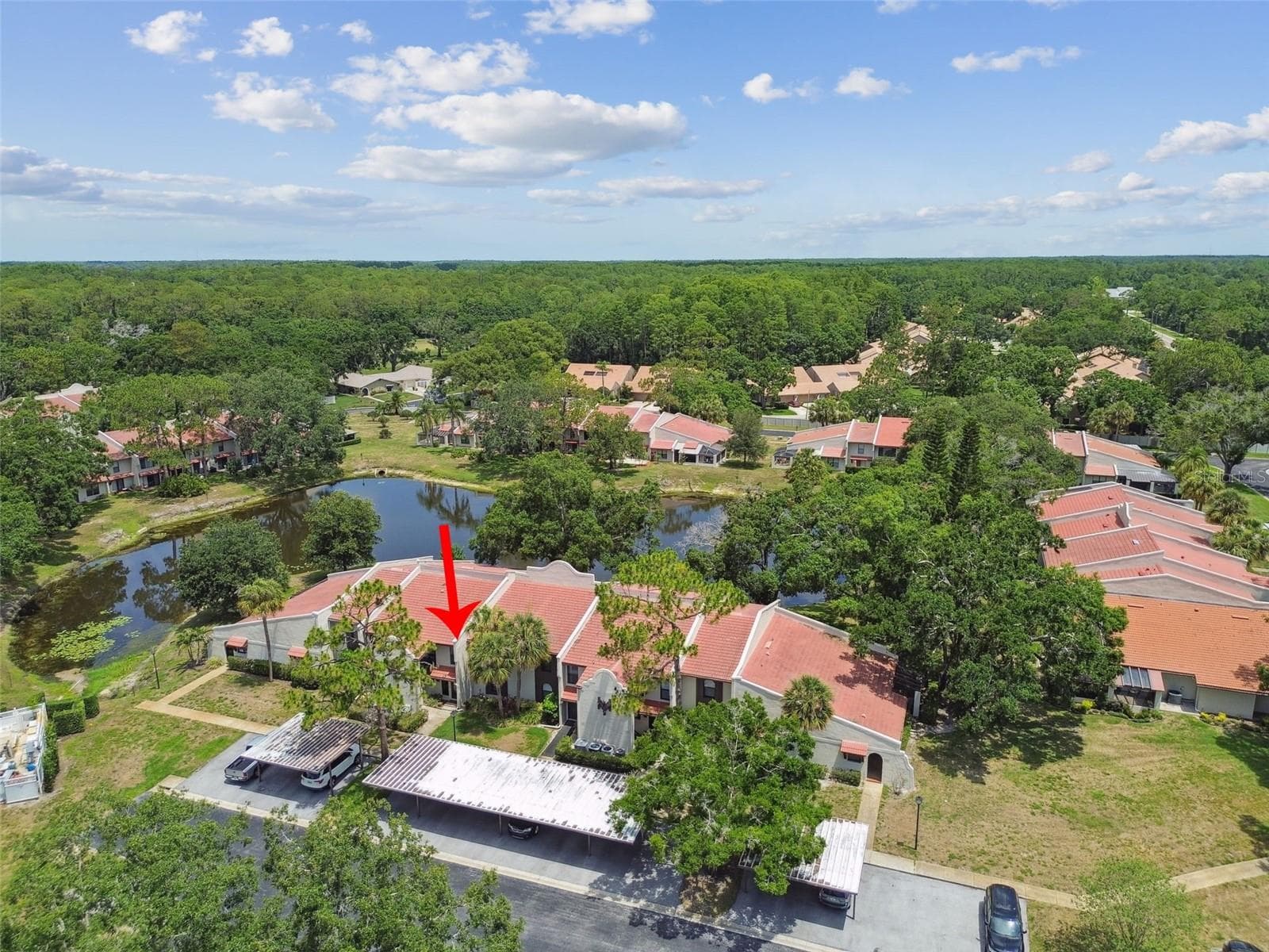 Condominium at 3505 TARPON WOODS BLVD #P404, PALM HARBOR, photo 51 of 62