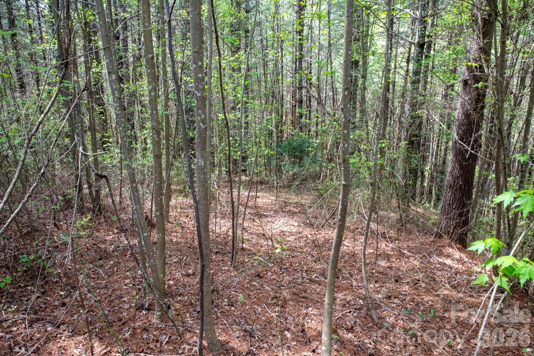 Lot at 000 Collette Ridge Circle, Collettsville, photo 15 of 29
