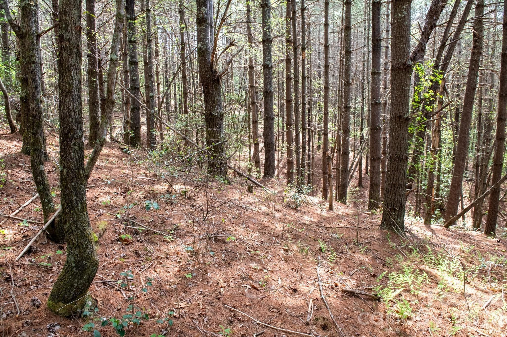Lot at 000 Collette Ridge Circle, Collettsville, photo 16 of 29