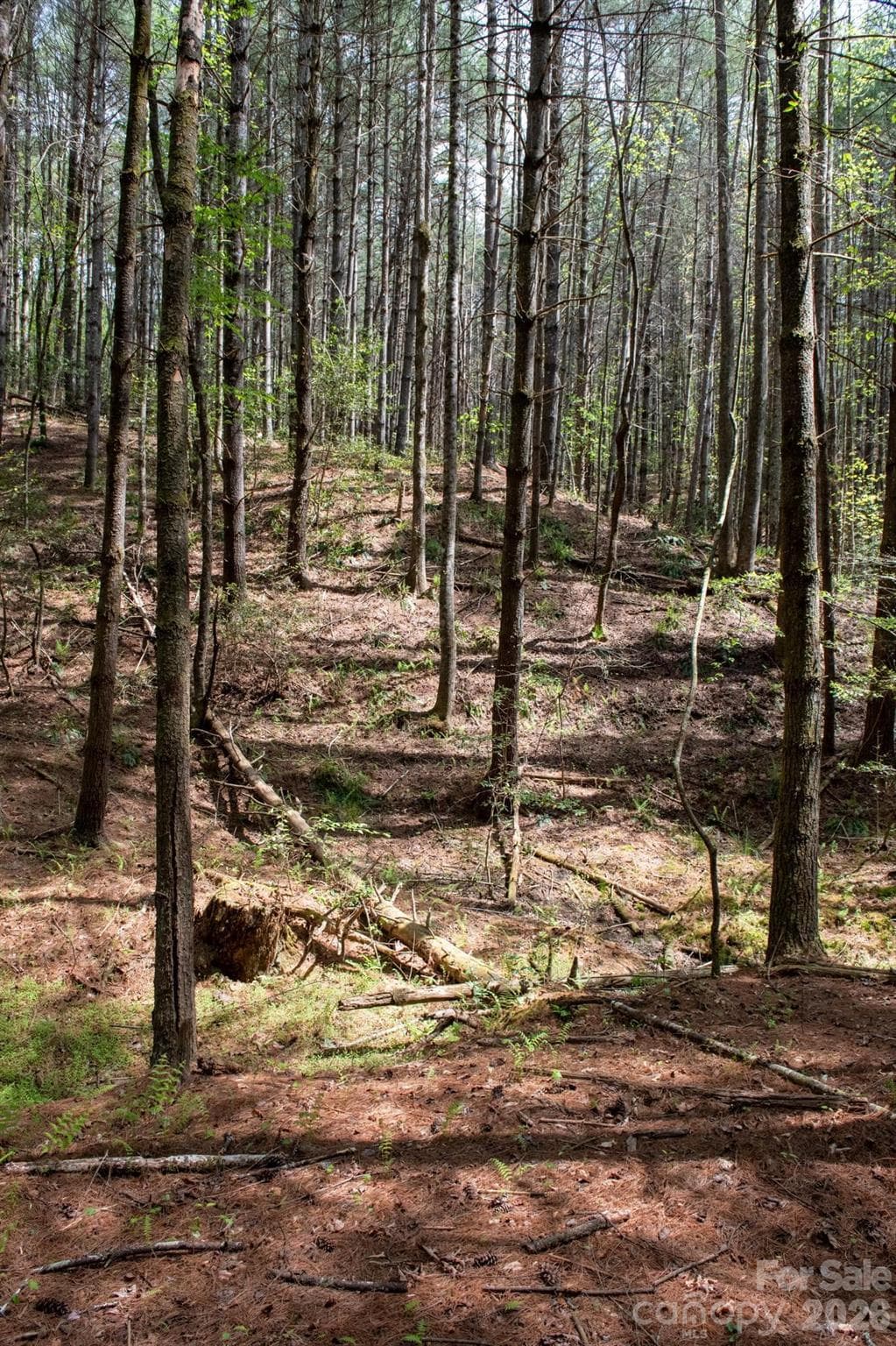 Lot at 000 Collette Ridge Circle, Collettsville, photo 20 of 29