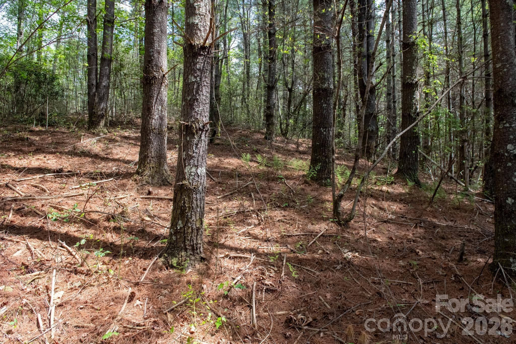 Lot at 000 Collette Ridge Circle, Collettsville, photo 26 of 29