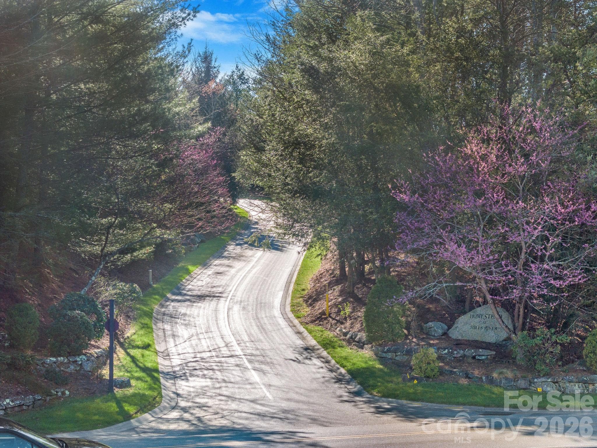 Lot at Horse Shoe, photo 8 of 11