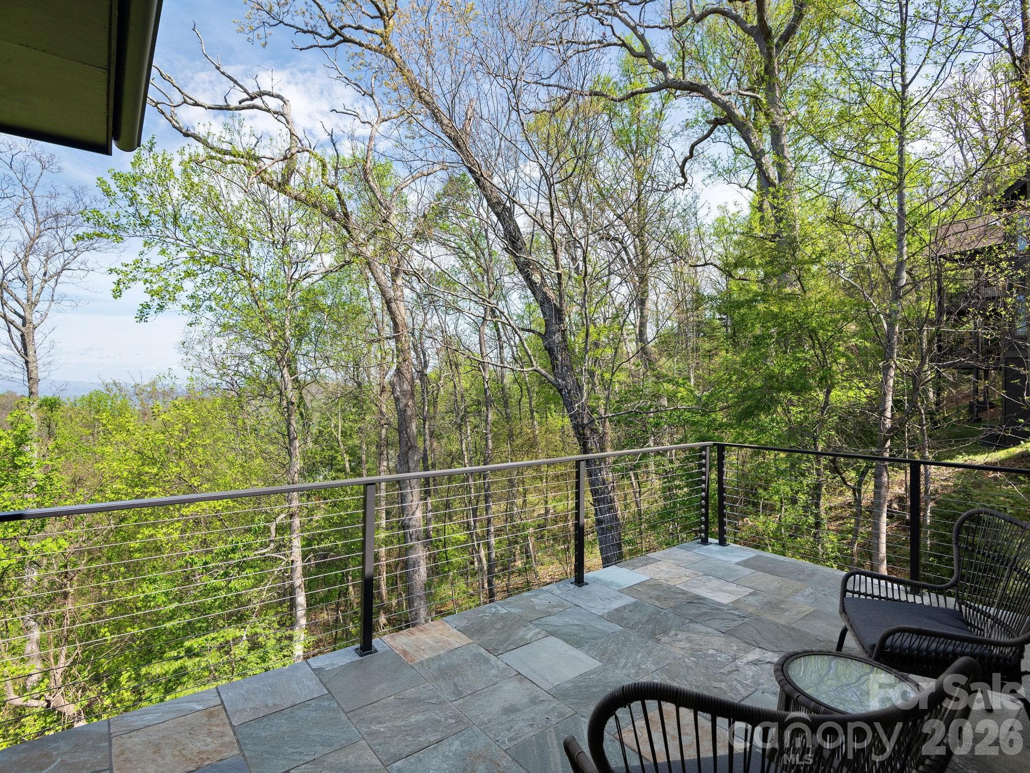 Single Family Residence at 642 Altamont View, Asheville, photo 12 of 48
