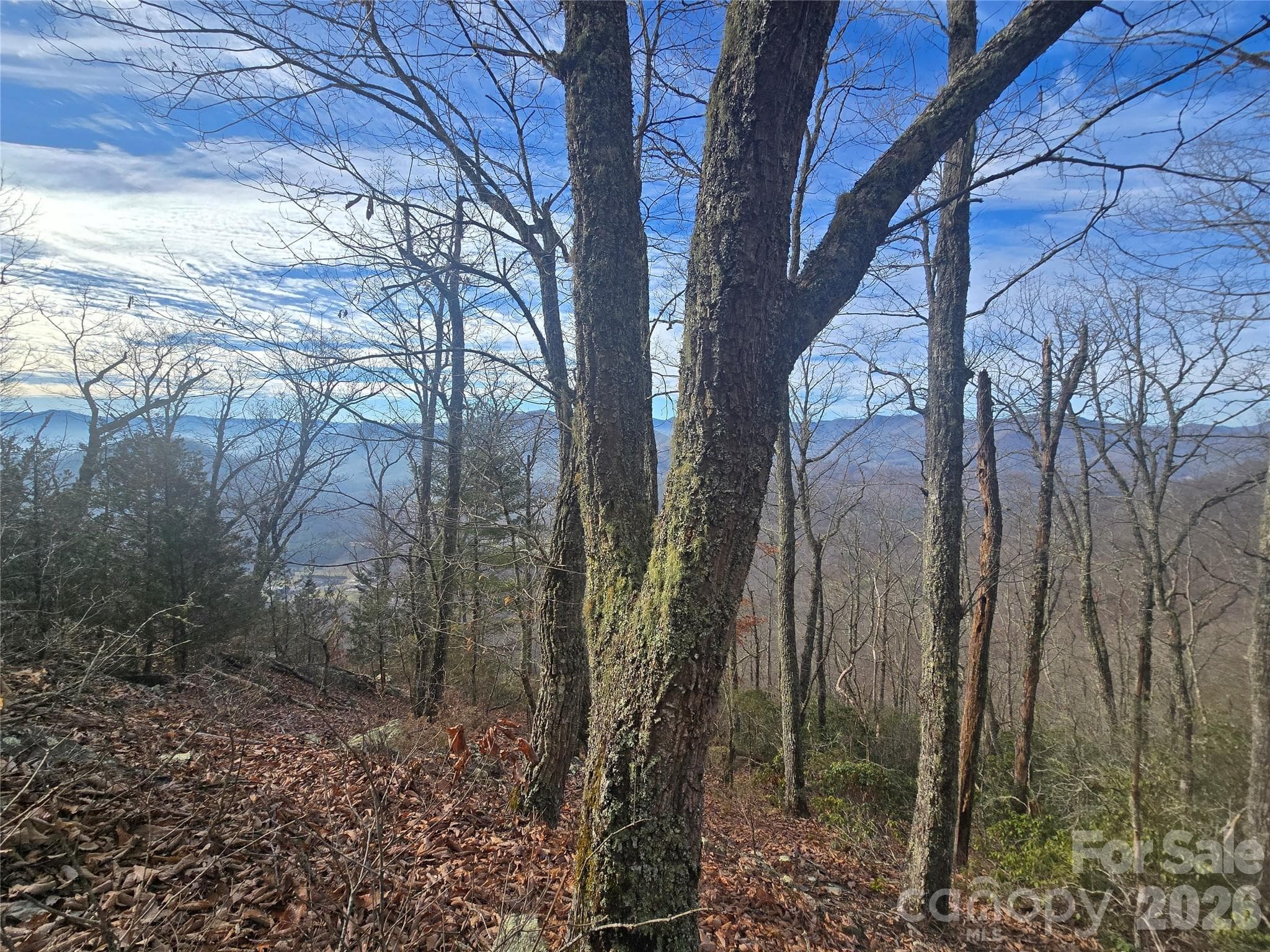 Lot at 0000 Black Mountain Road, Cullowhee, photo 2 of 14