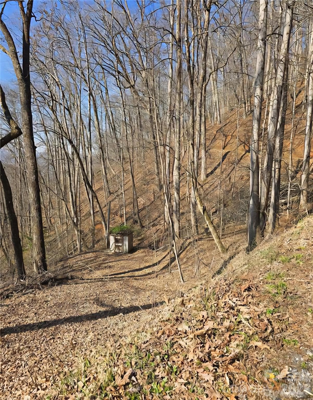 32 Black Mountain Road