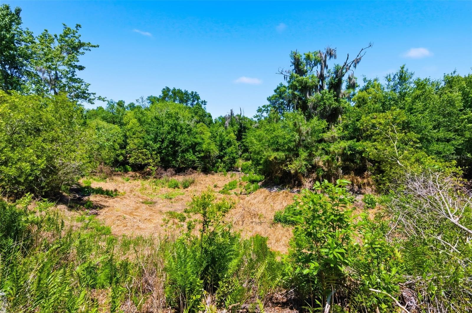 Land at 19084 RED BIRD LN #LOT 5, LITHIA, photo 10 of 11
