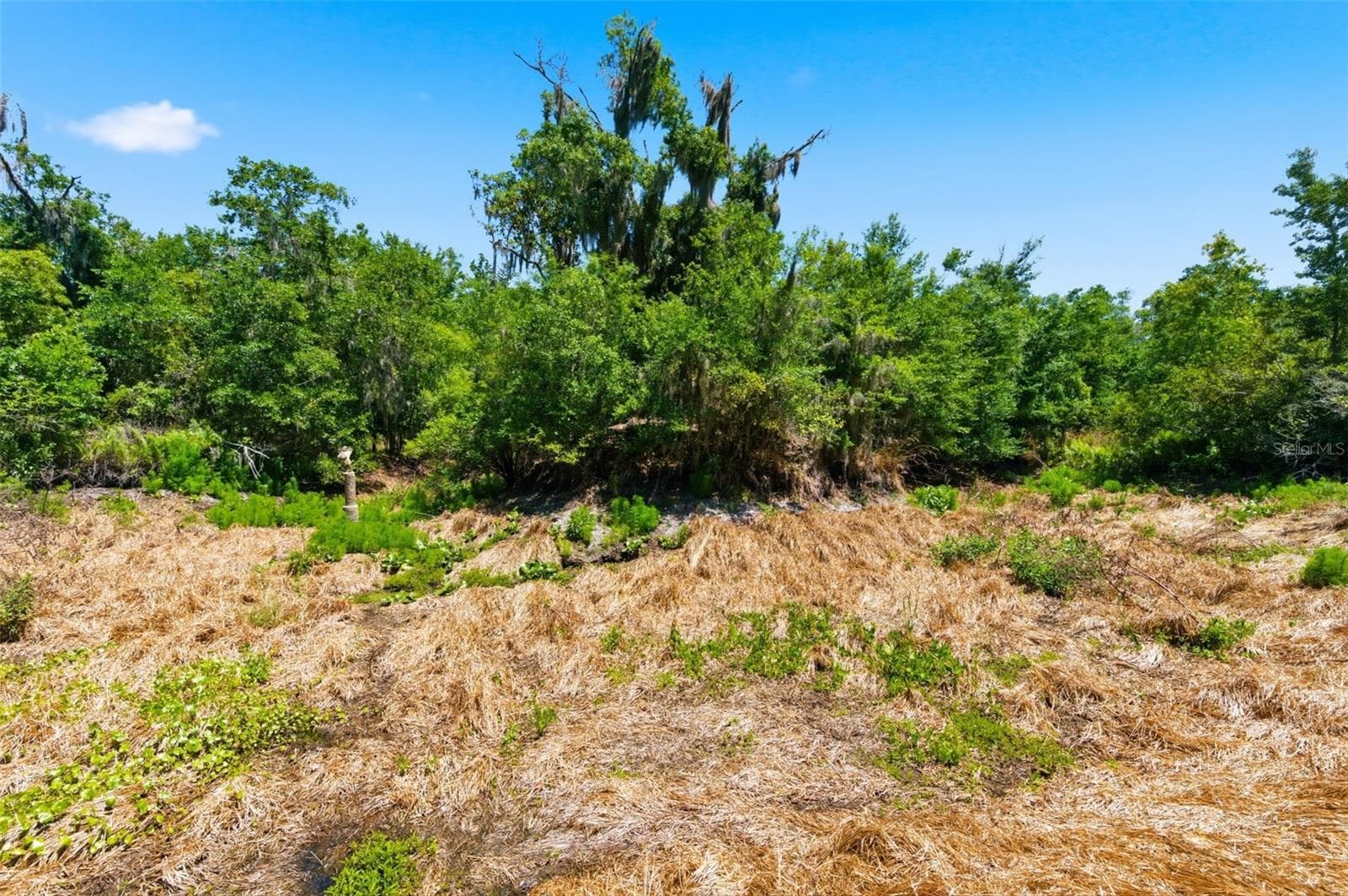 Land at 19084 RED BIRD LN #LOT 5, LITHIA, photo 11 of 11
