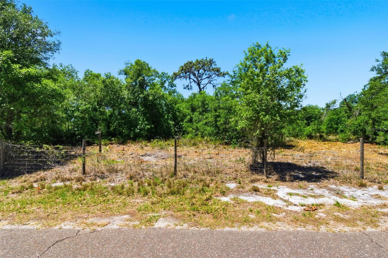 Land at 19084 RED BIRD LN #LOT 2, LITHIA, photo 9 of 9