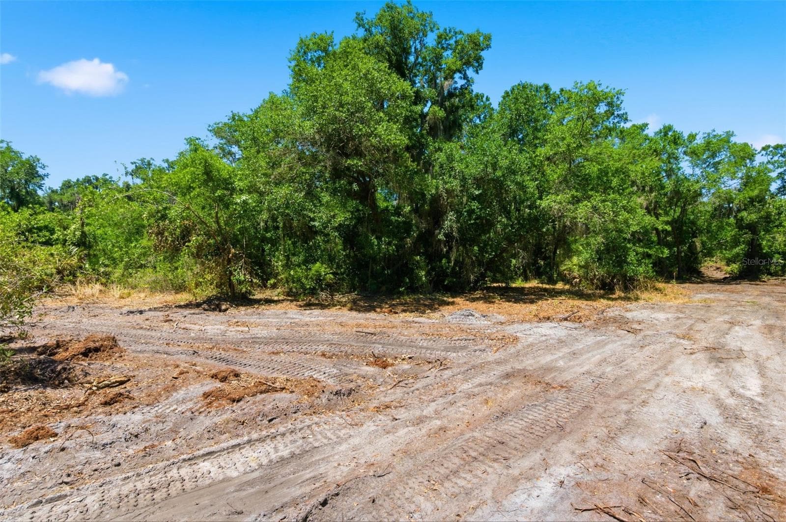 Land at 19084 RED BIRD LN #LOT 4, LITHIA, photo 8 of 9