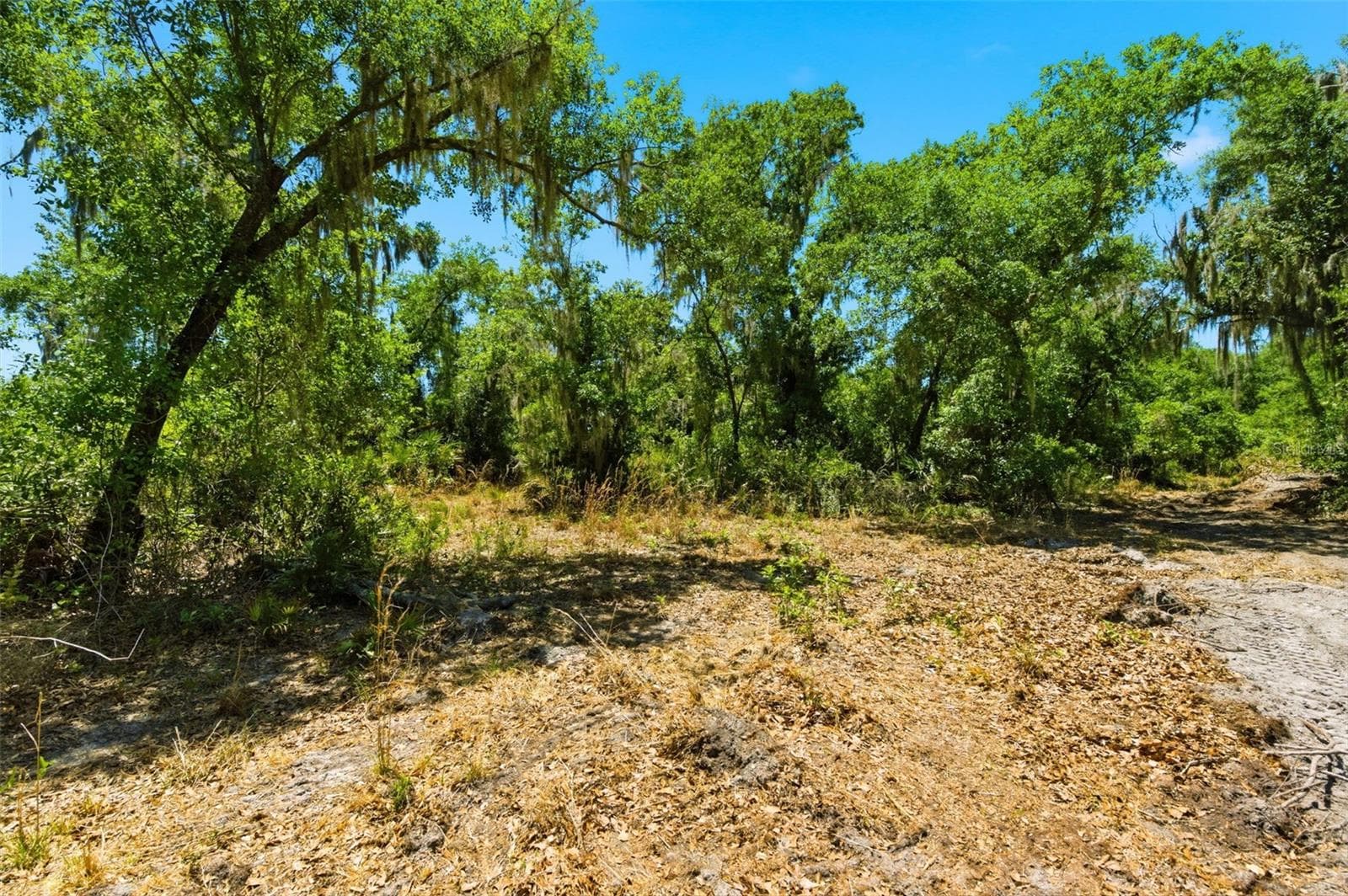 Land at 19084 RED BIRD LN #LOT 4, LITHIA, photo 9 of 9