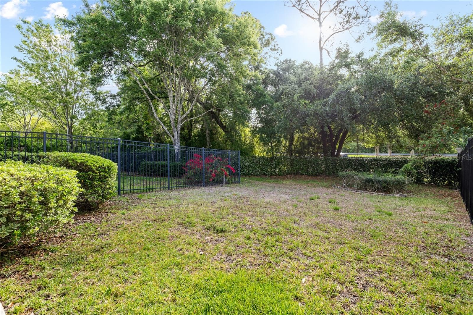 Yard - 14543 MIRABELLE VISTA CIR, TAMPA