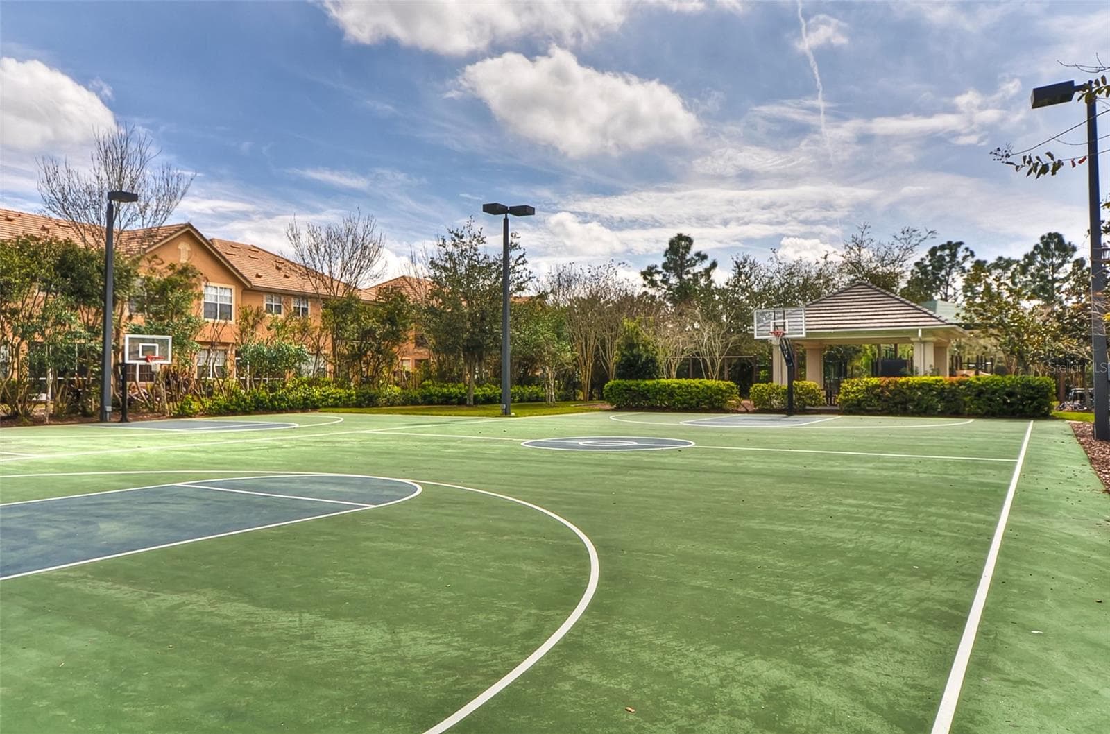 Community Basketball - 14543 MIRABELLE VISTA CIR, TAMPA