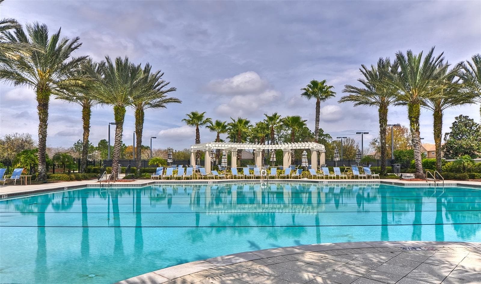 Community Pool - 14543 MIRABELLE VISTA CIR, TAMPA