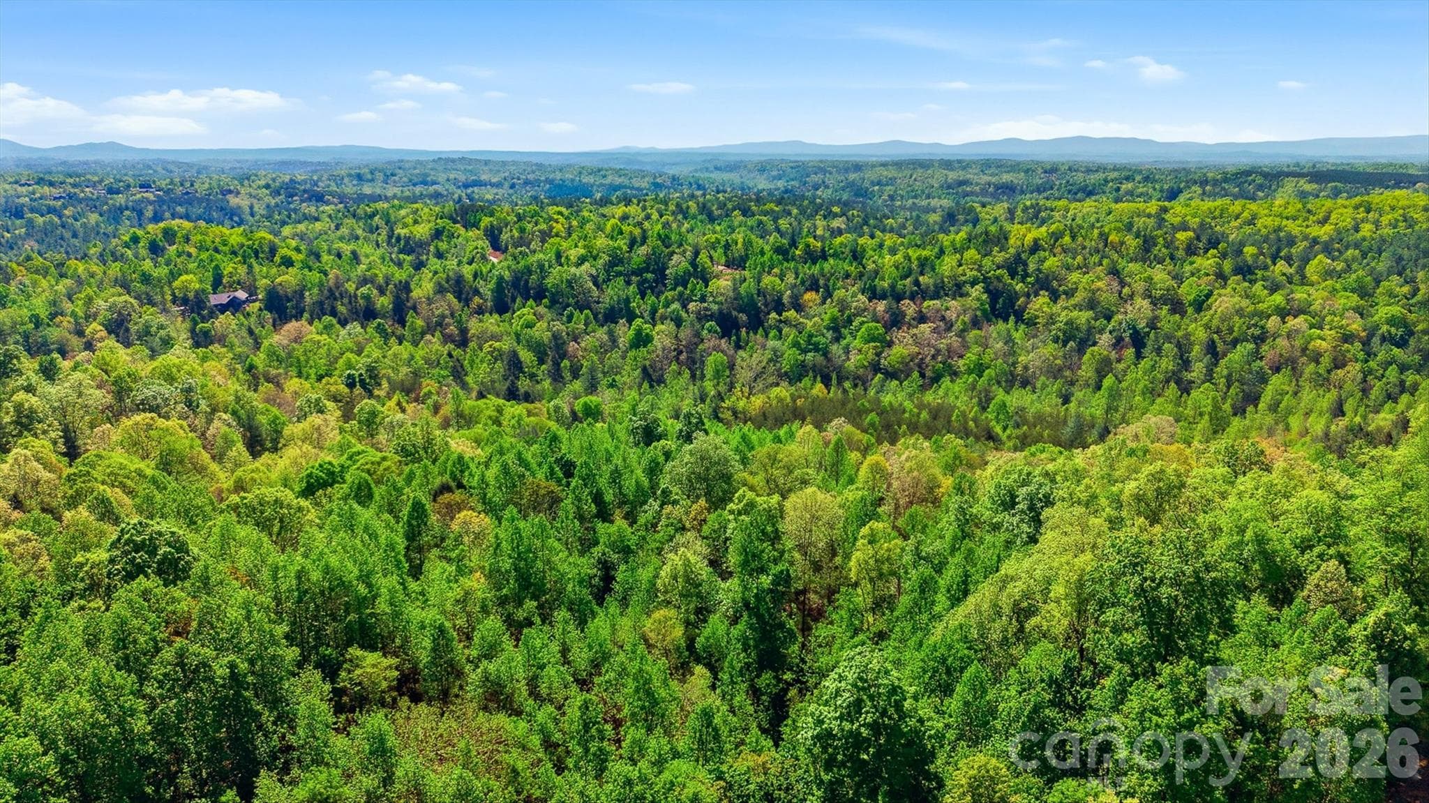 Lot at Lenoir, photo 8 of 34