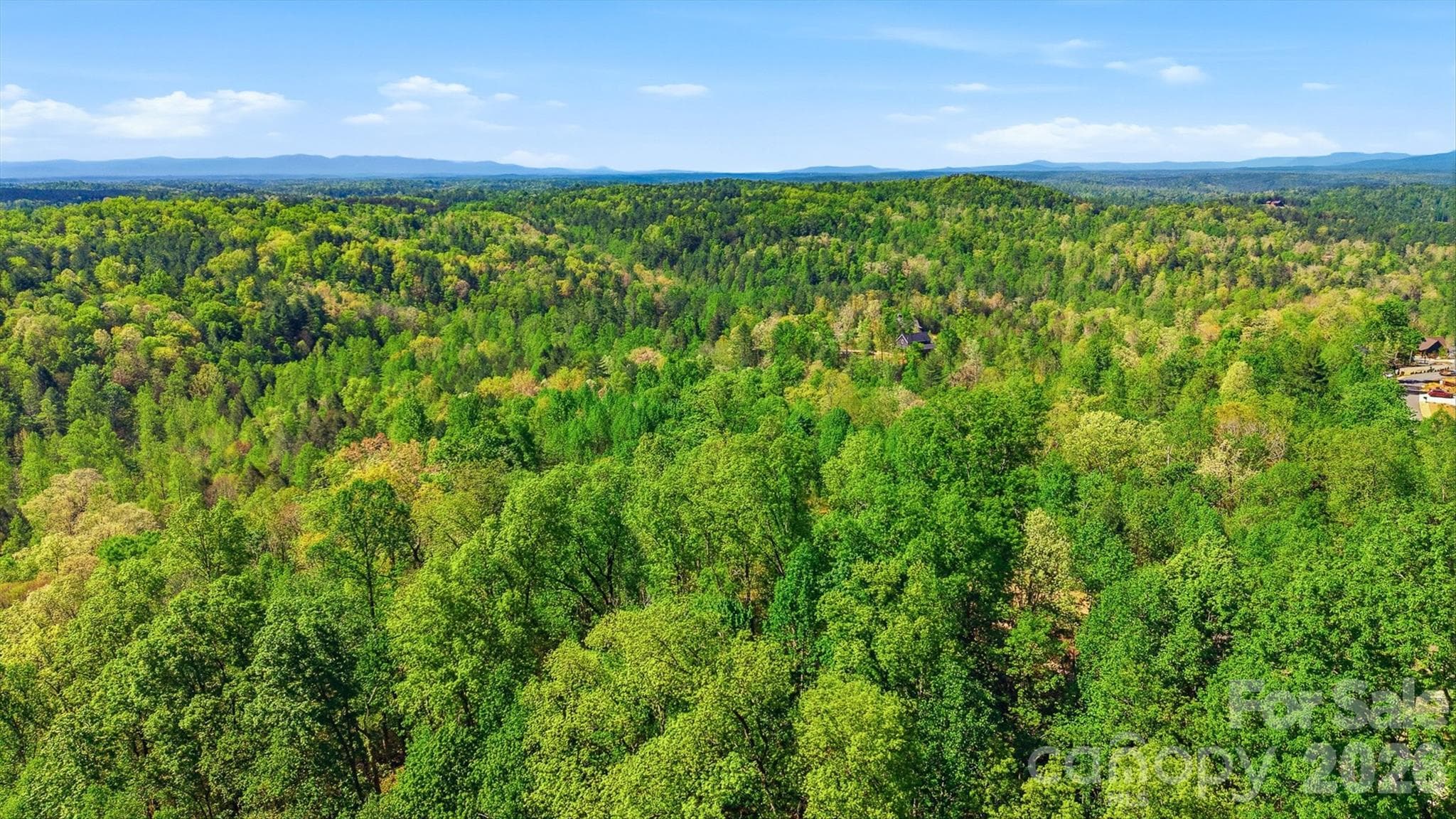 Lot at Lenoir, photo 9 of 34