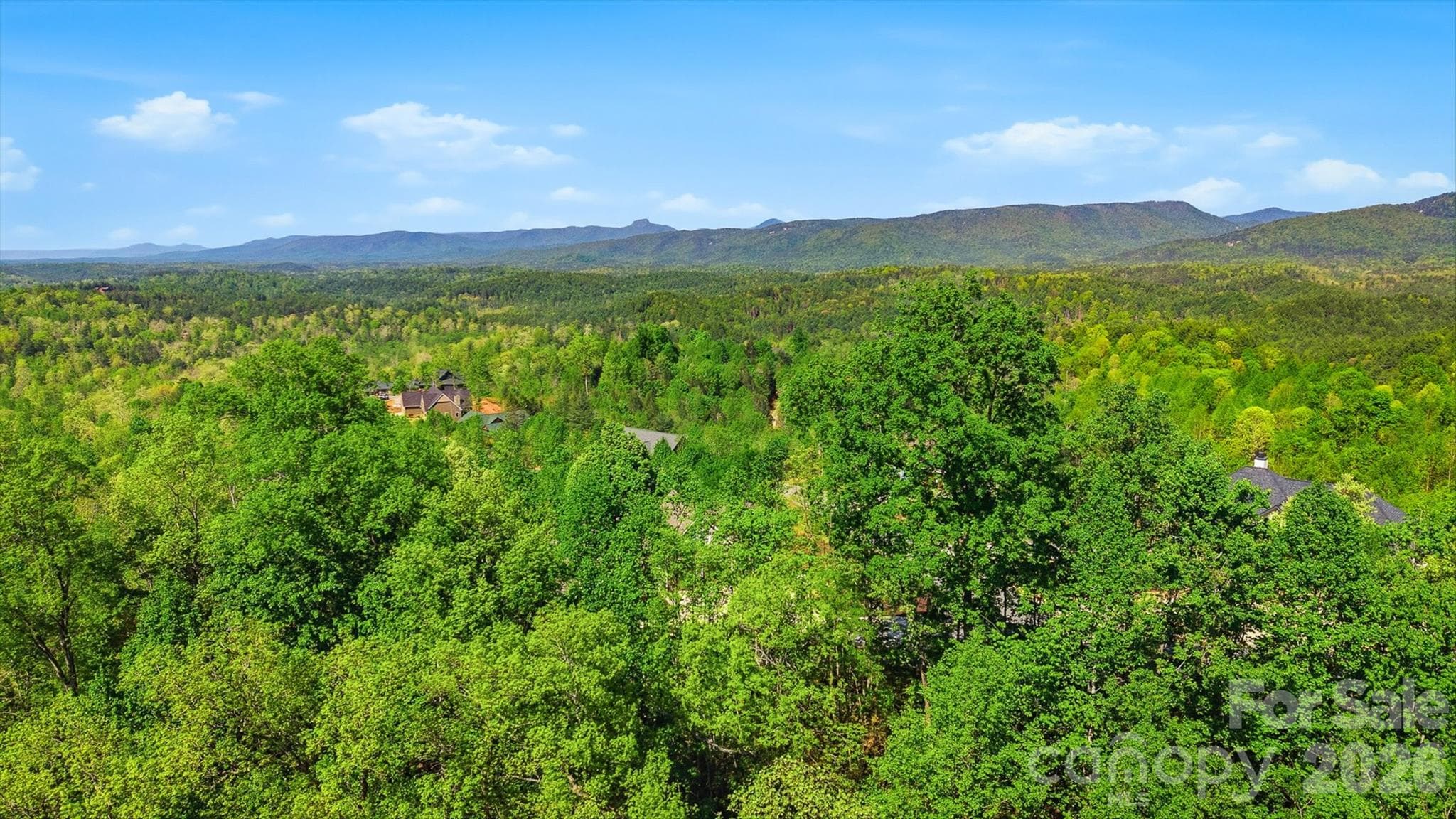 Lot at Lenoir, photo 10 of 34