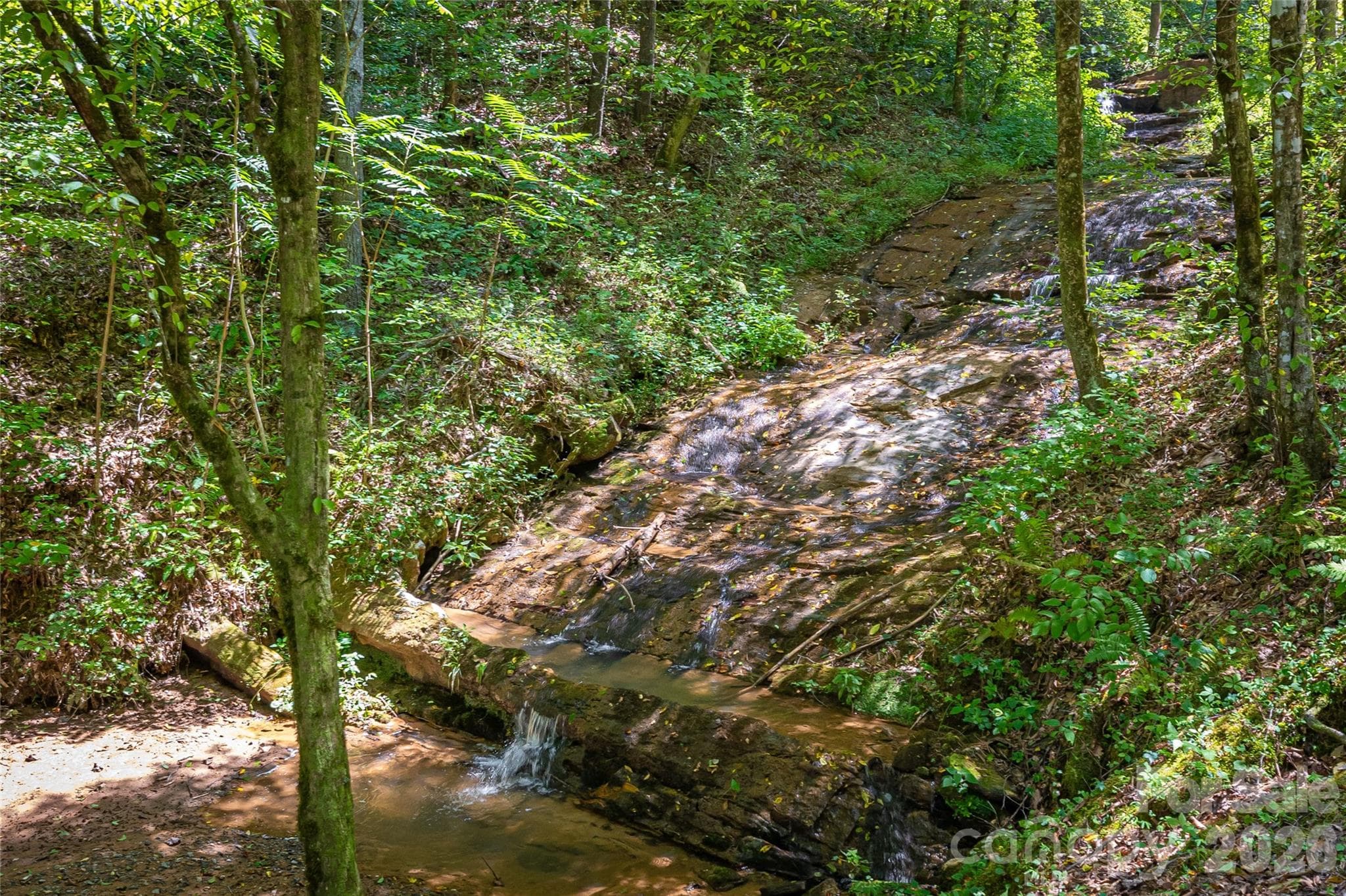 Lot at Lenoir, photo 24 of 34