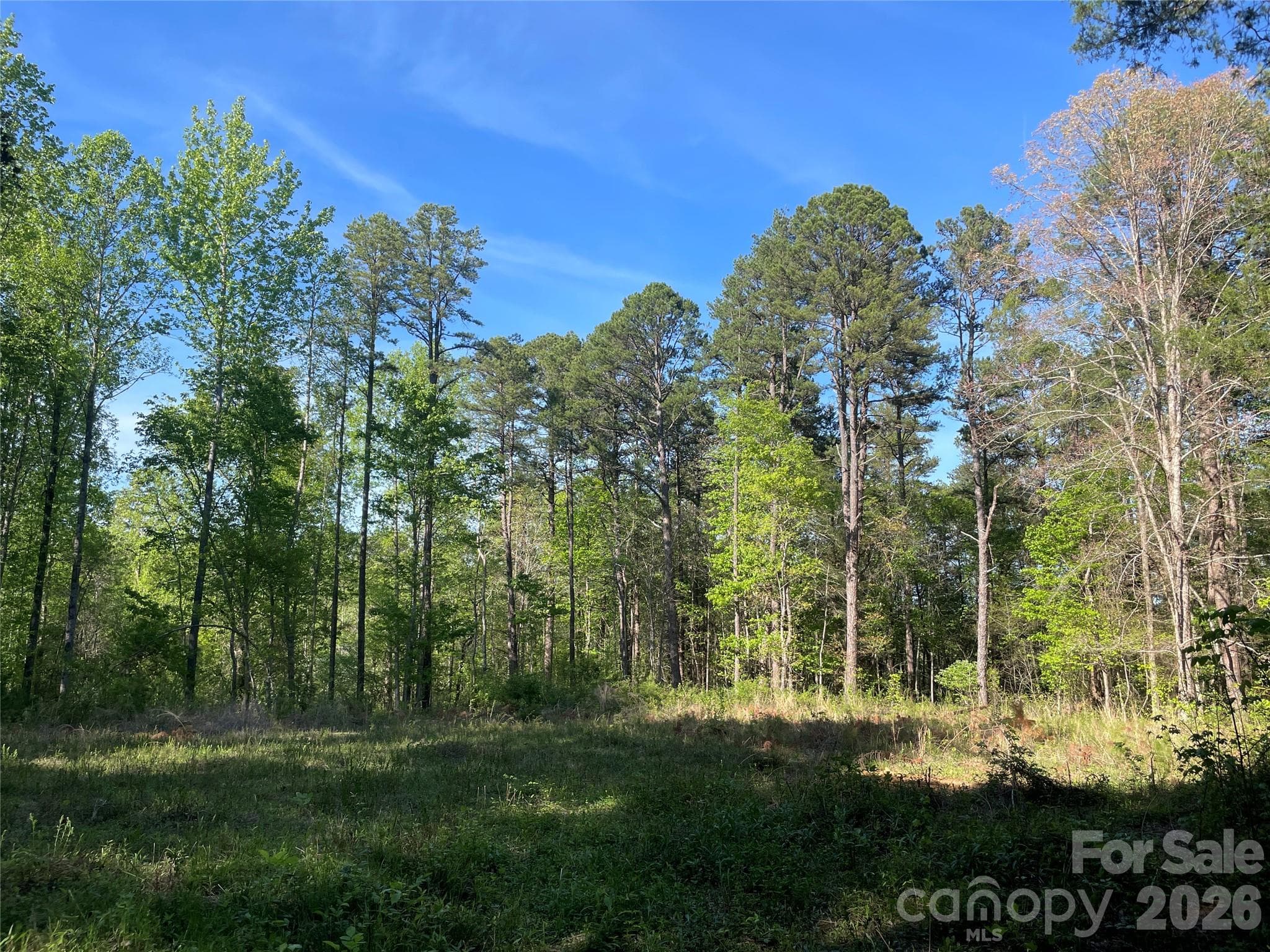 Acreage at Kannapolis, photo 6 of 7