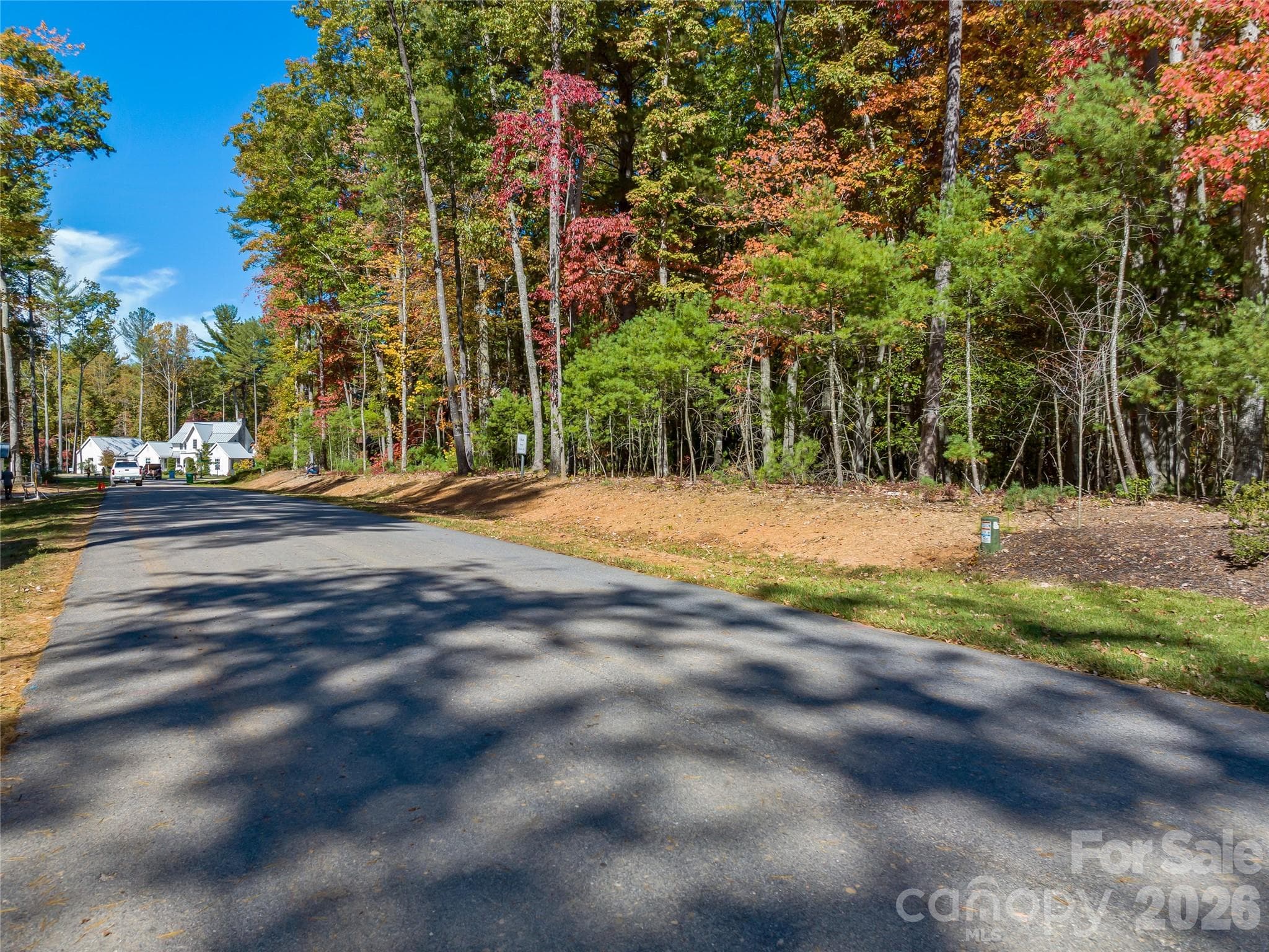Lot at Asheville, photo 5 of 47