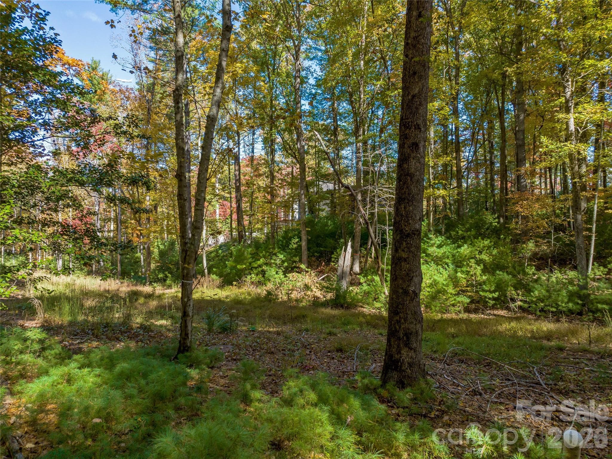 Lot at Asheville, photo 9 of 47