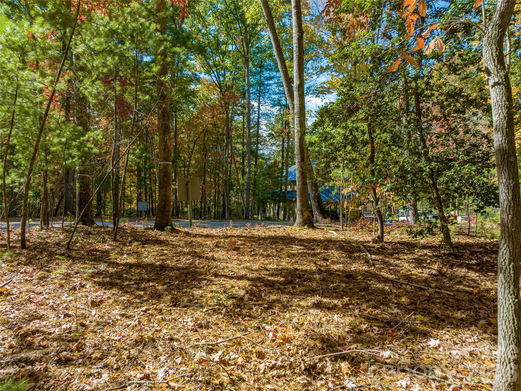 Lot at Asheville, photo 21 of 47