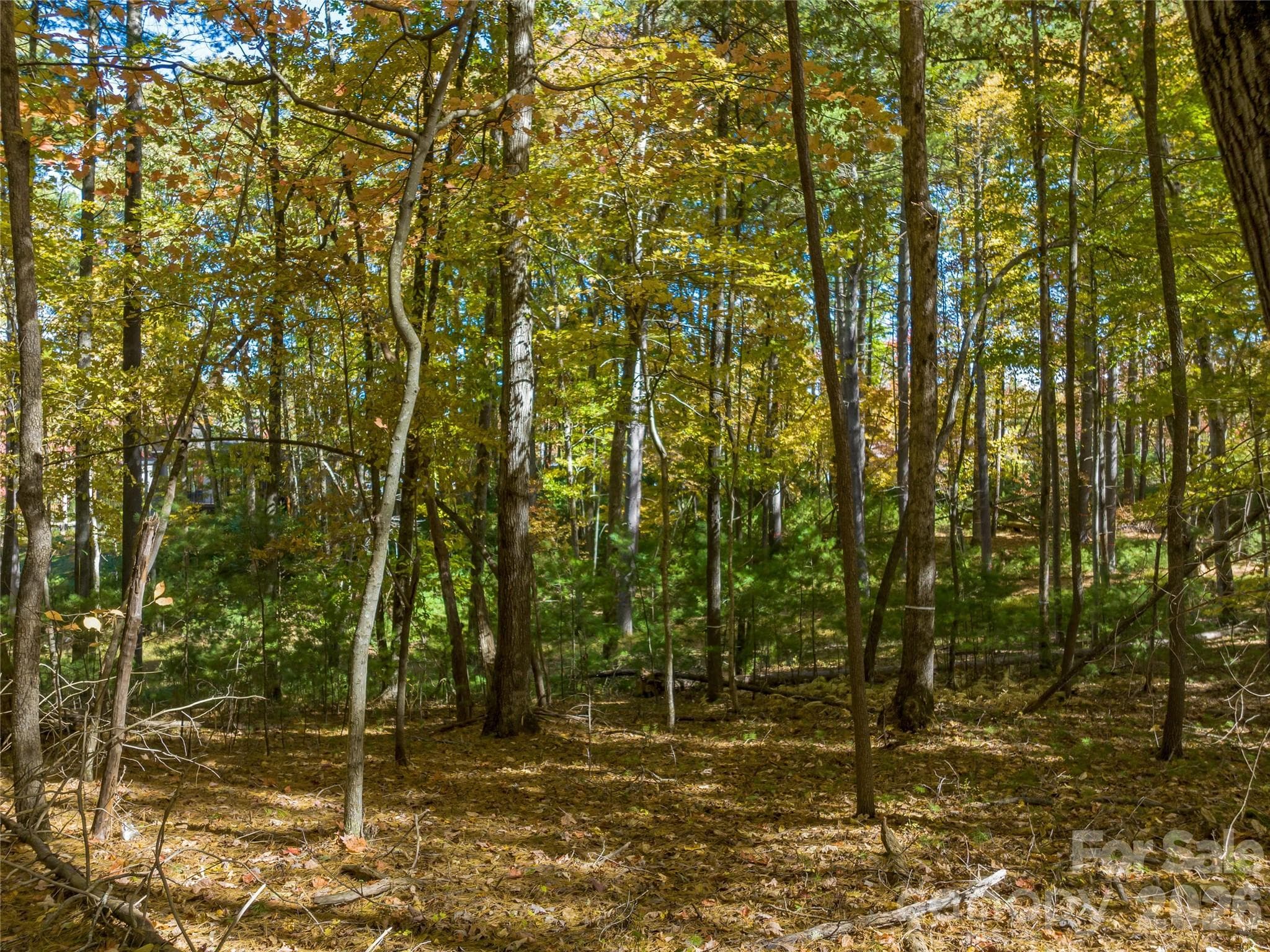 Lot at Asheville, photo 23 of 47