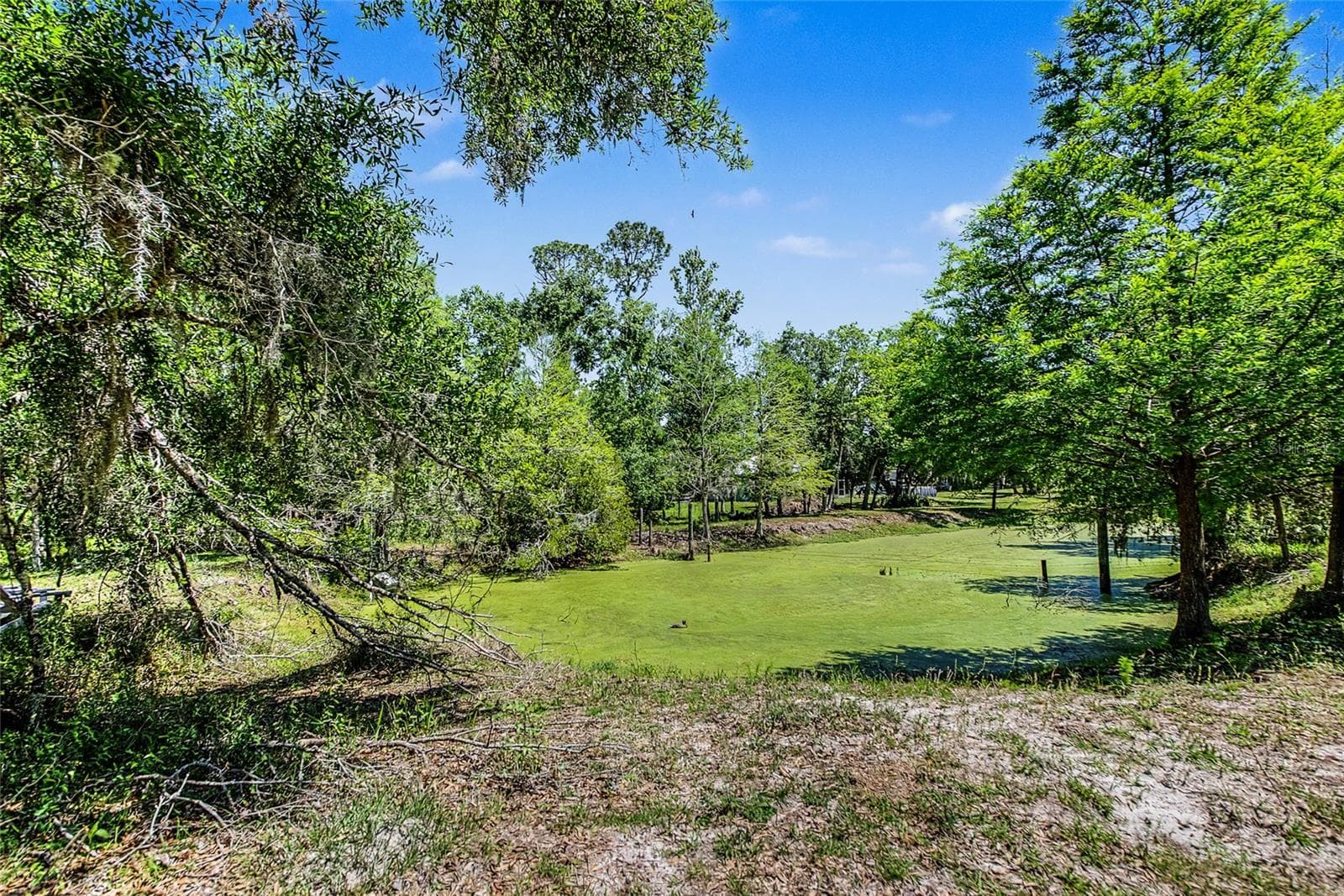 Single Family Residence at 15750 WILSON RD, SARASOTA, photo 15 of 45