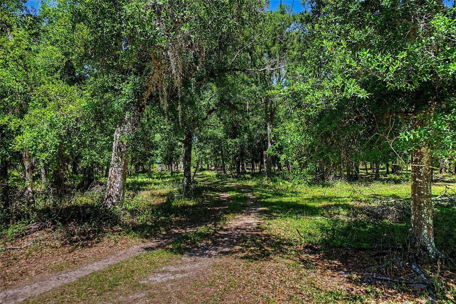 Single Family Residence at 15750 WILSON RD, SARASOTA, photo 41 of 45
