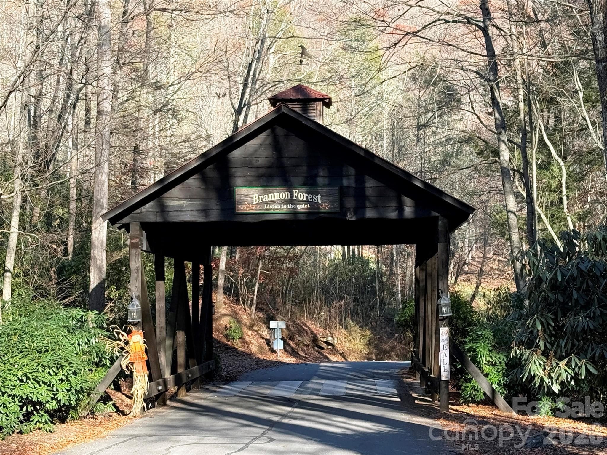 Lot at Maggie Valley, photo 4 of 25