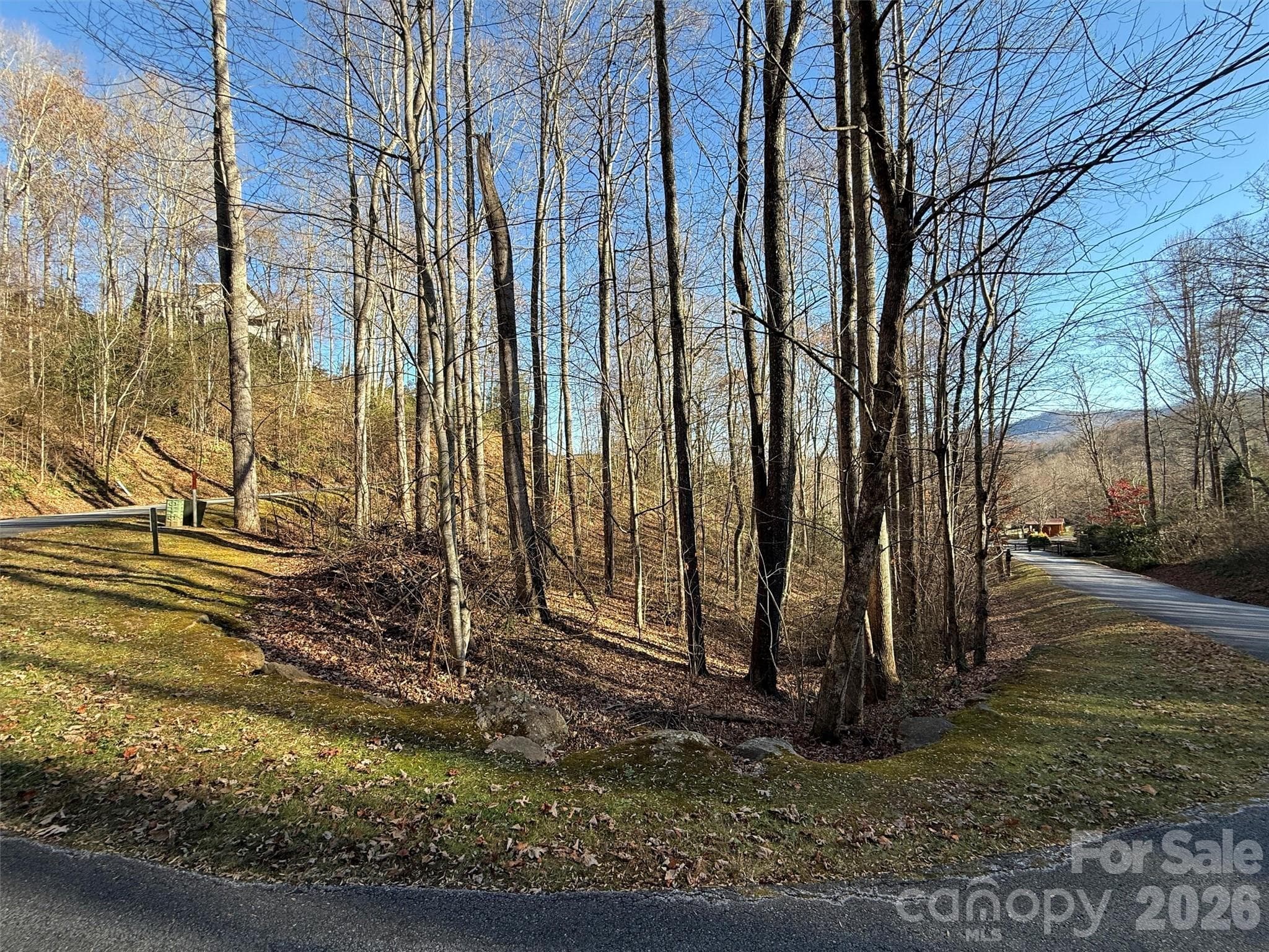 Lot at Maggie Valley, photo 9 of 25
