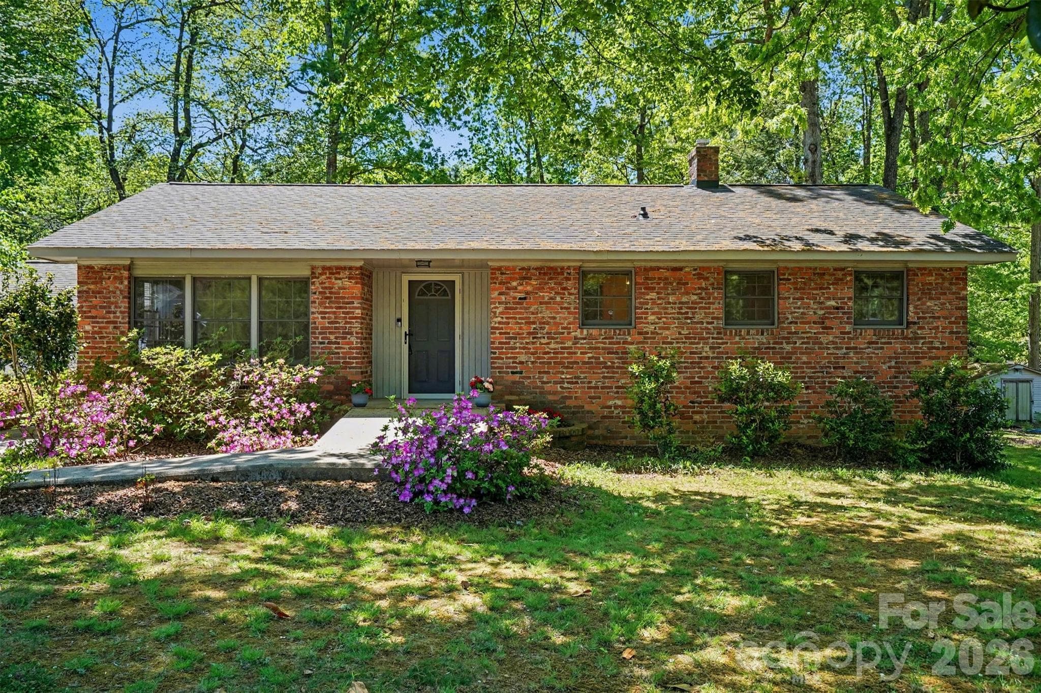 Mature landscaping with vibrant shrubs and abundant shade - 804 Phillips Street, Shelby