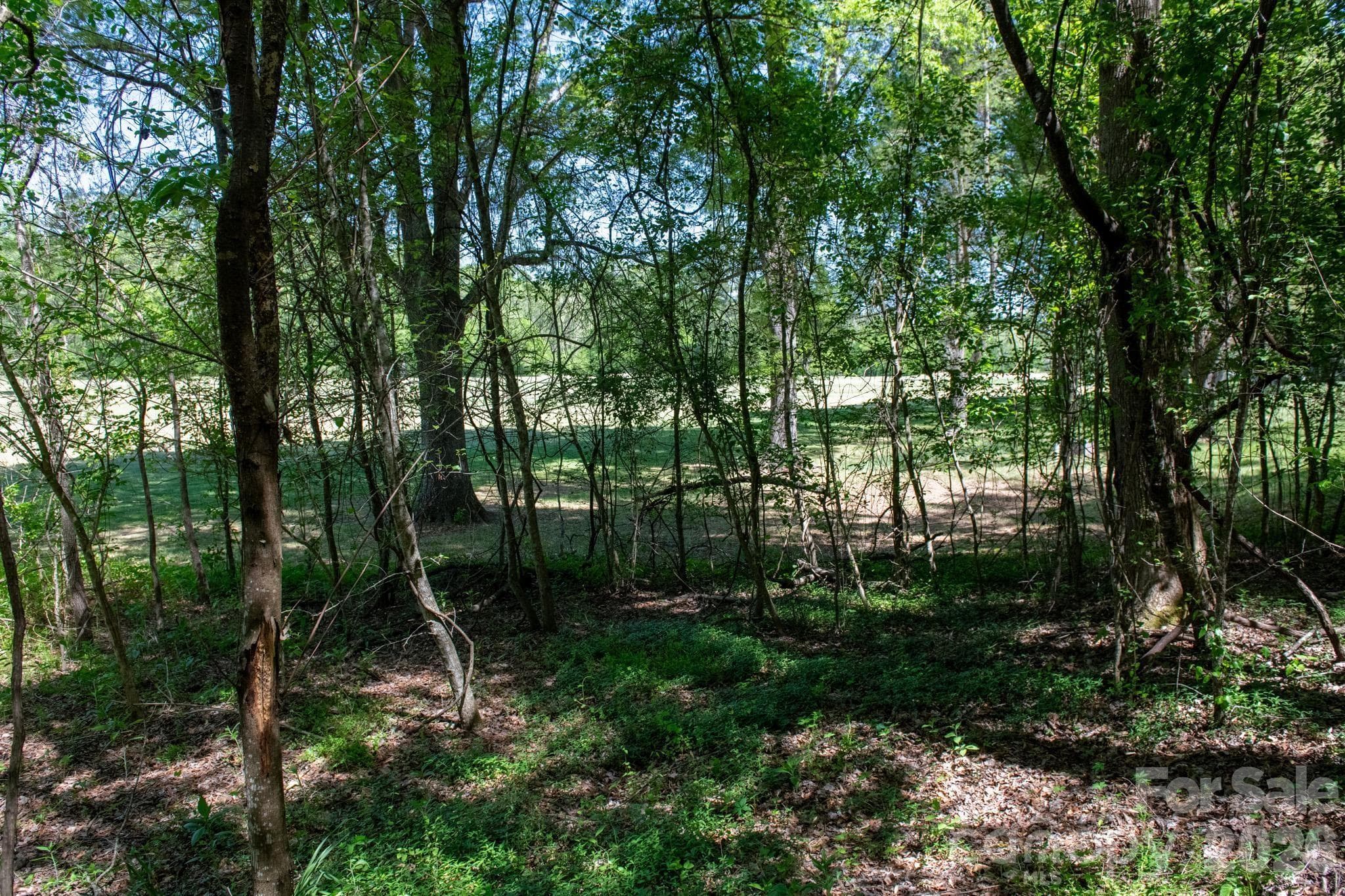 Lot at Lenoir, photo 27 of 39